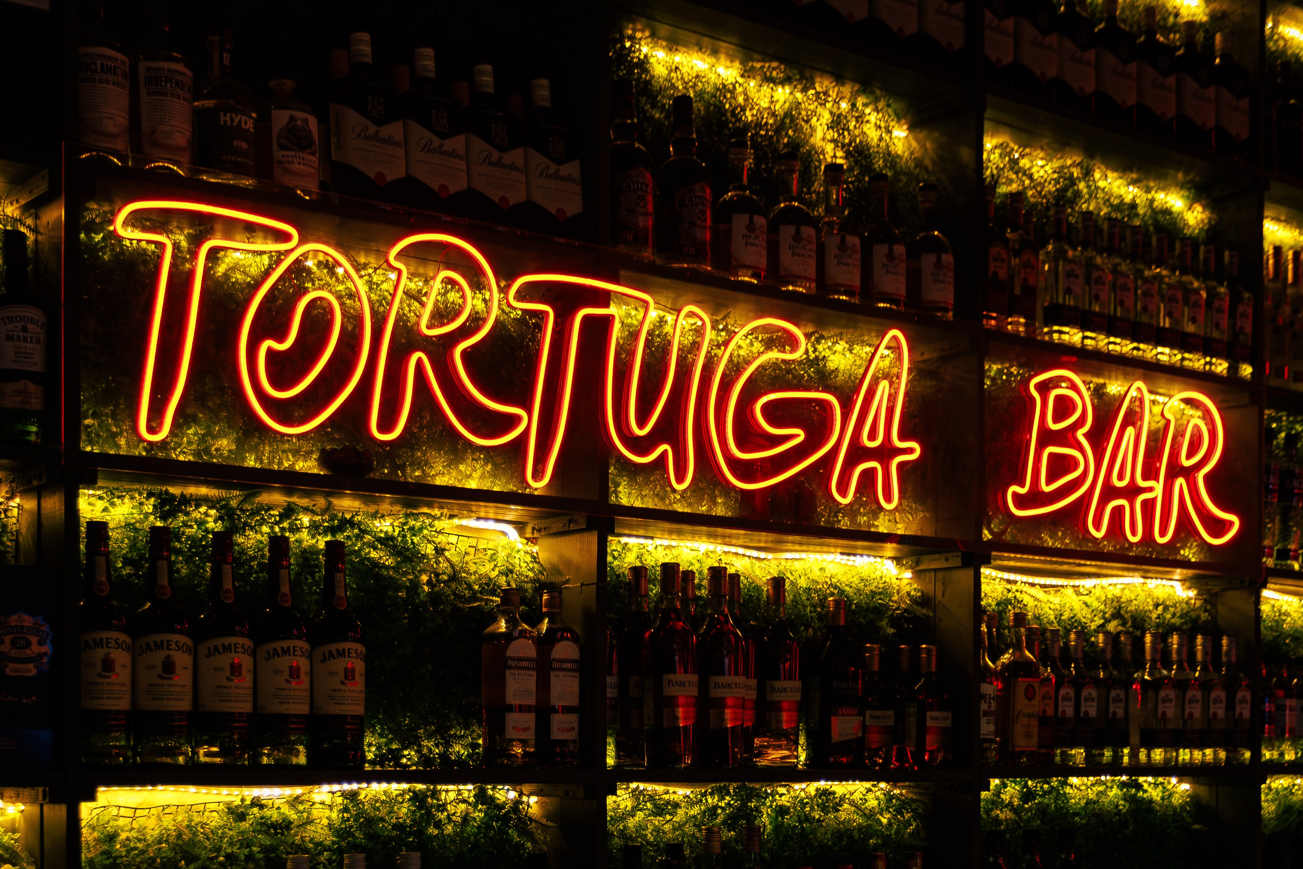 «Dj Nikitich"_Tortuga_Симферополь_15.03.2025. Аминов Руслан | Фотограф