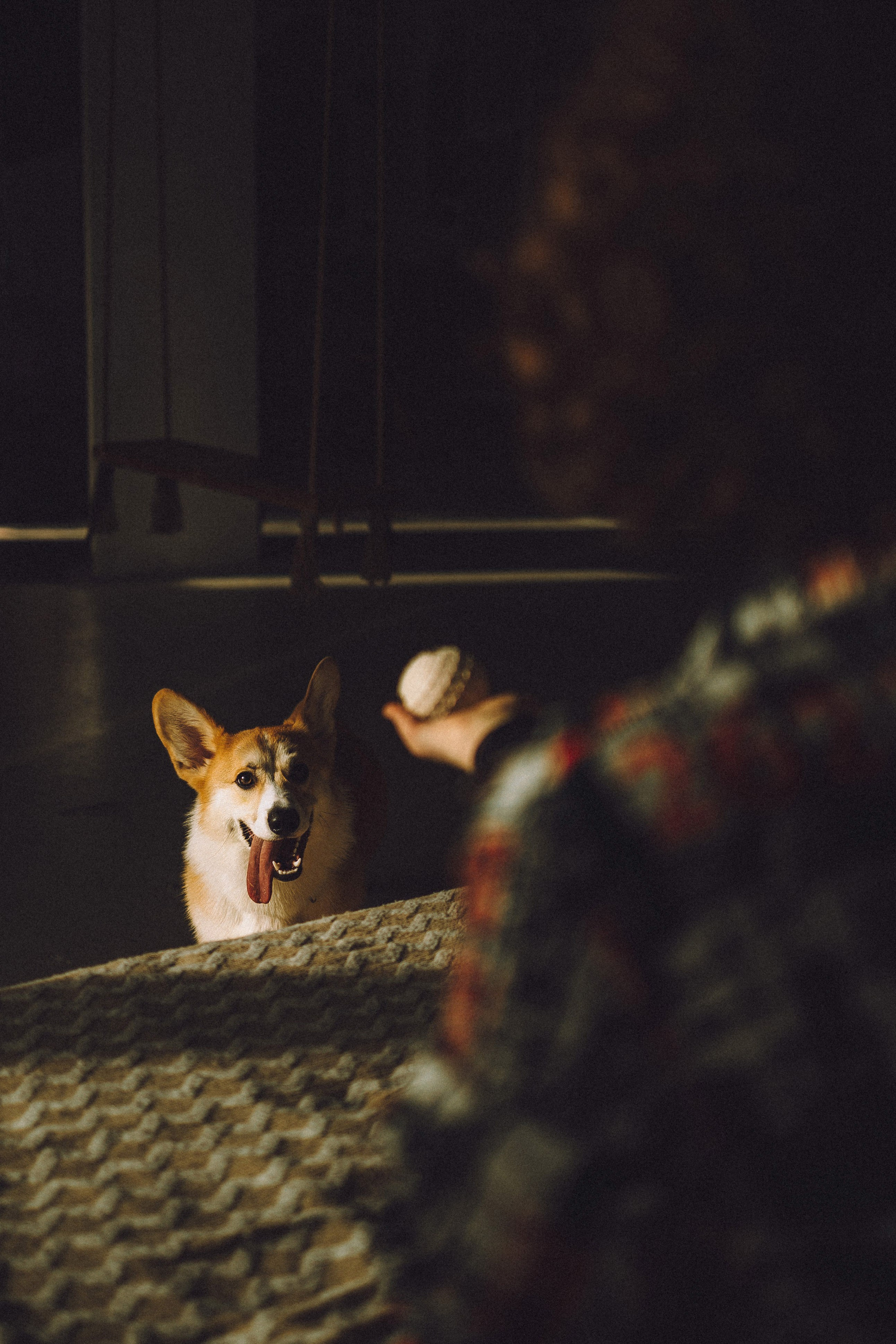 Наталья, Евгений и Мерлин