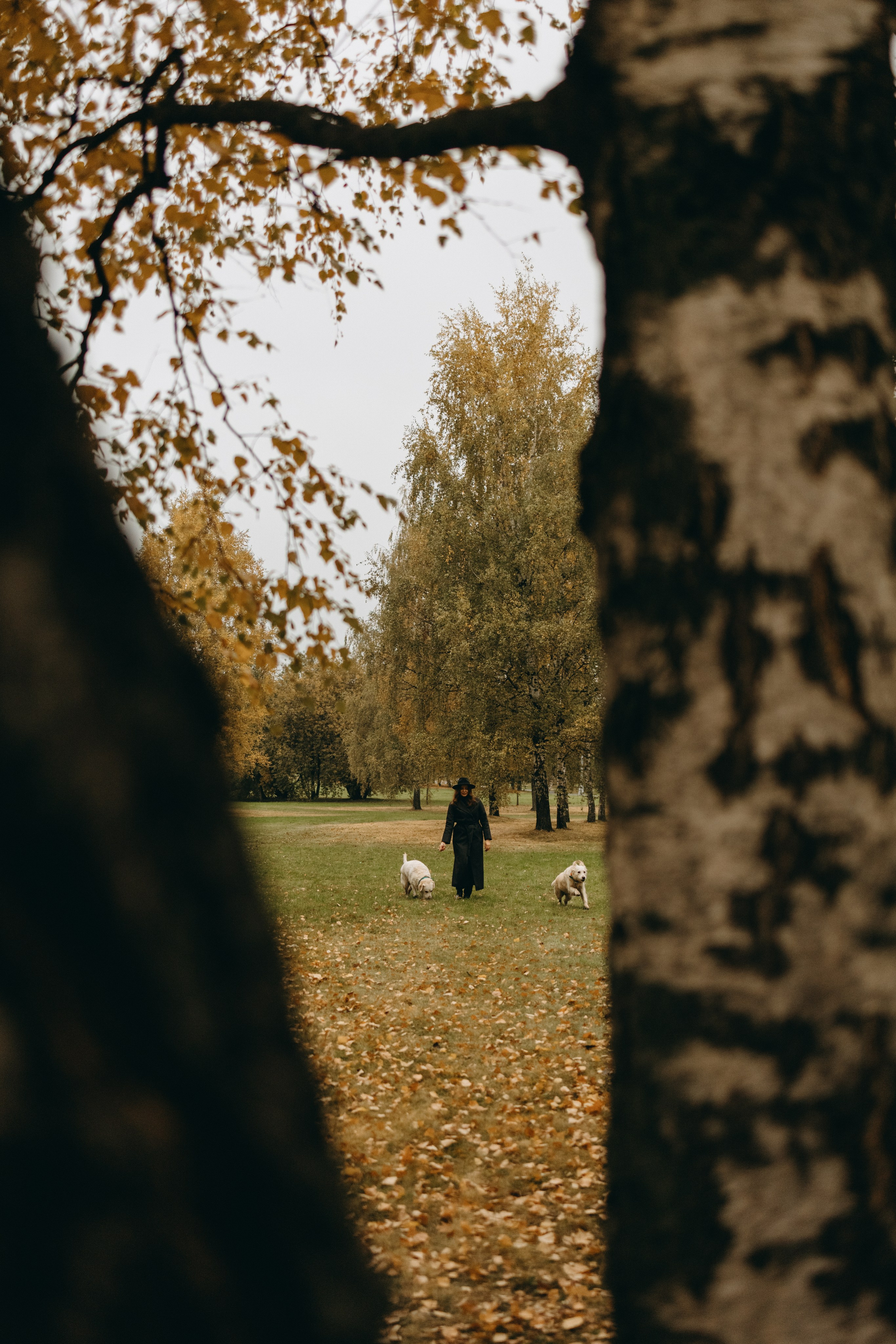 Женя и ее девочки. Фотограф — Анималист | Санкт-Петербург