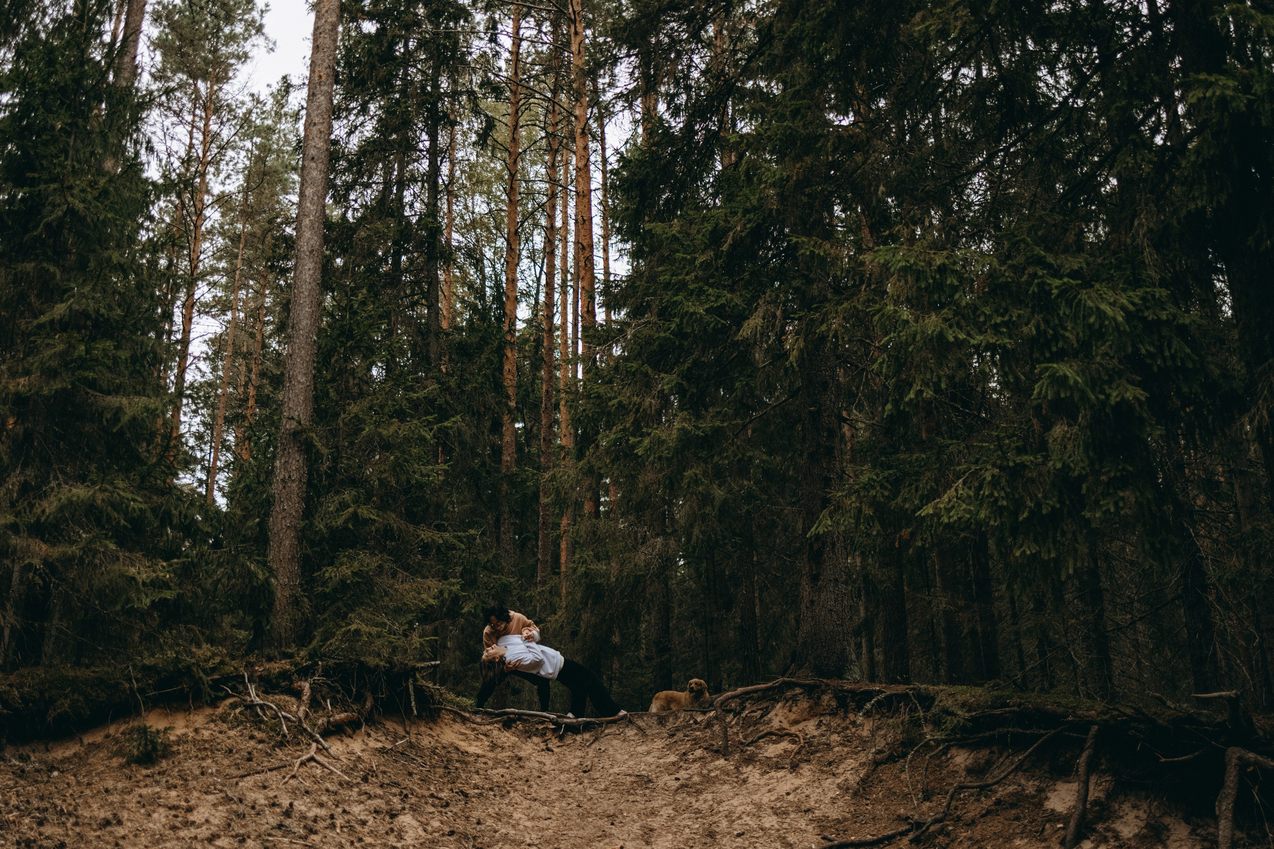 Фоси и его семьи. Фотограф — Анималист | Санкт-Петербург