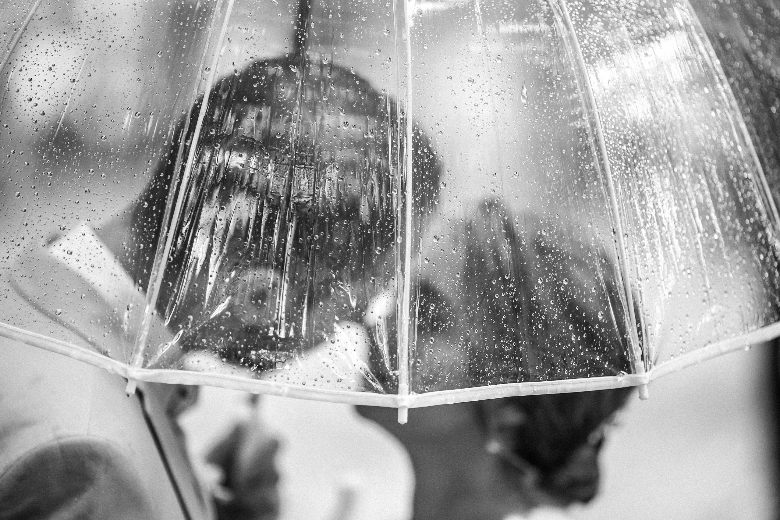 Свадебная прогулка. Фотограф Силиникс Екатерина