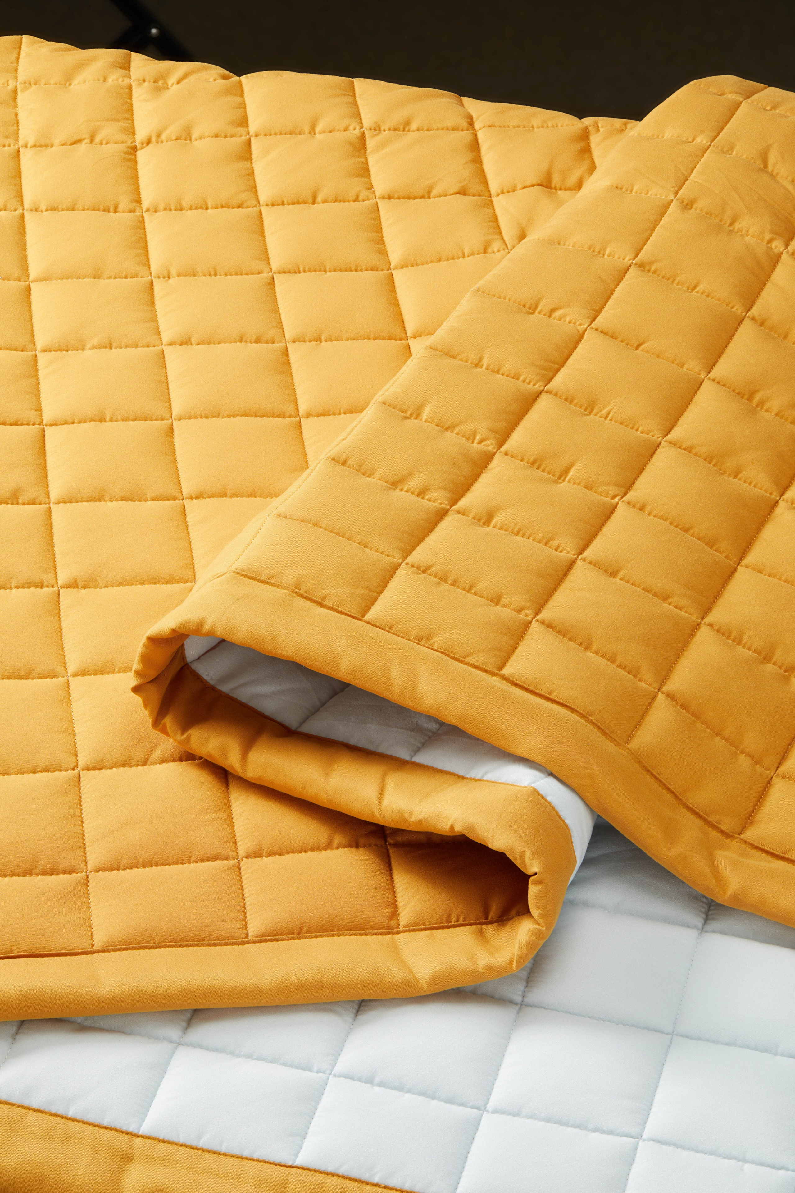 Пледы Pragma. Олег Дмитриев