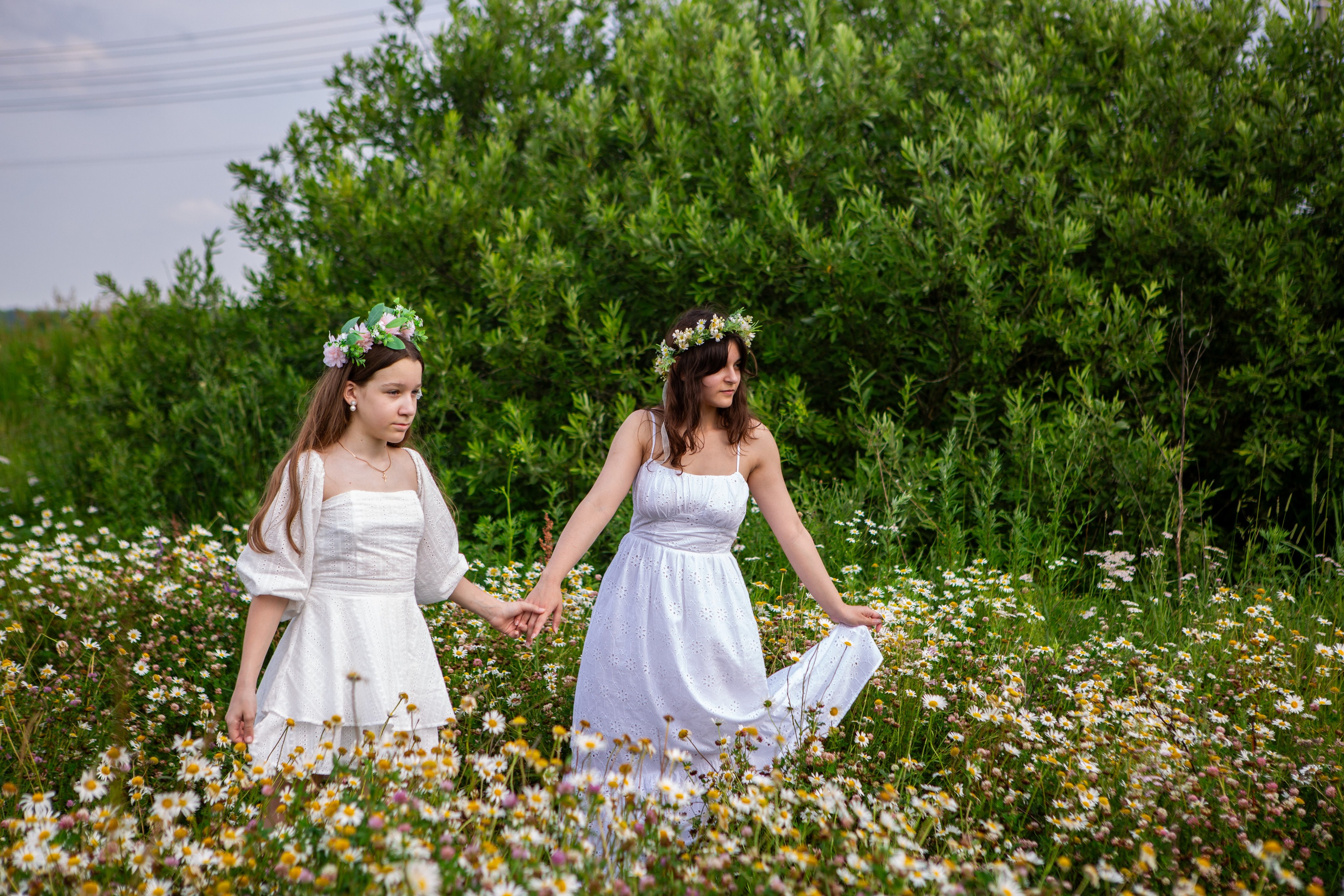 Солнечные цветы. Репортажный, семейный, свадебный, портретный фотограф