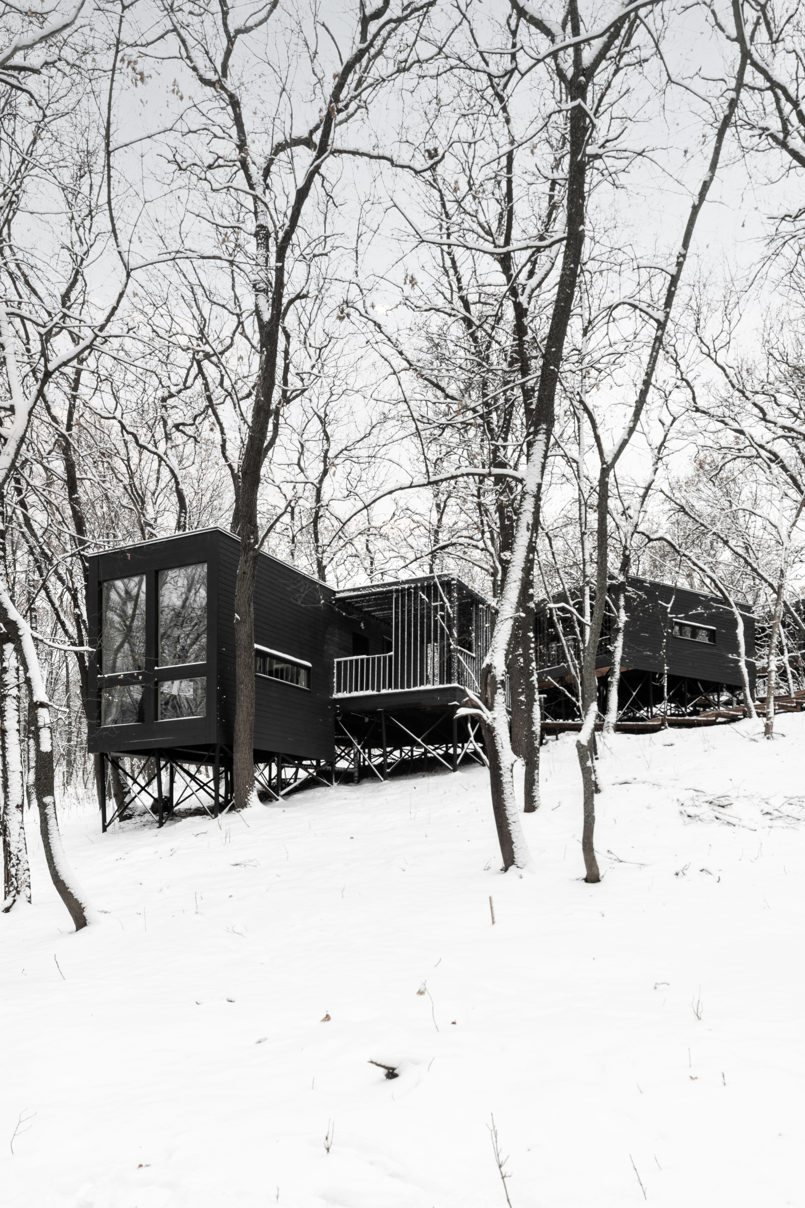 ХОЛМ. SAAS Селиванов Алексей Архитектурная Студия