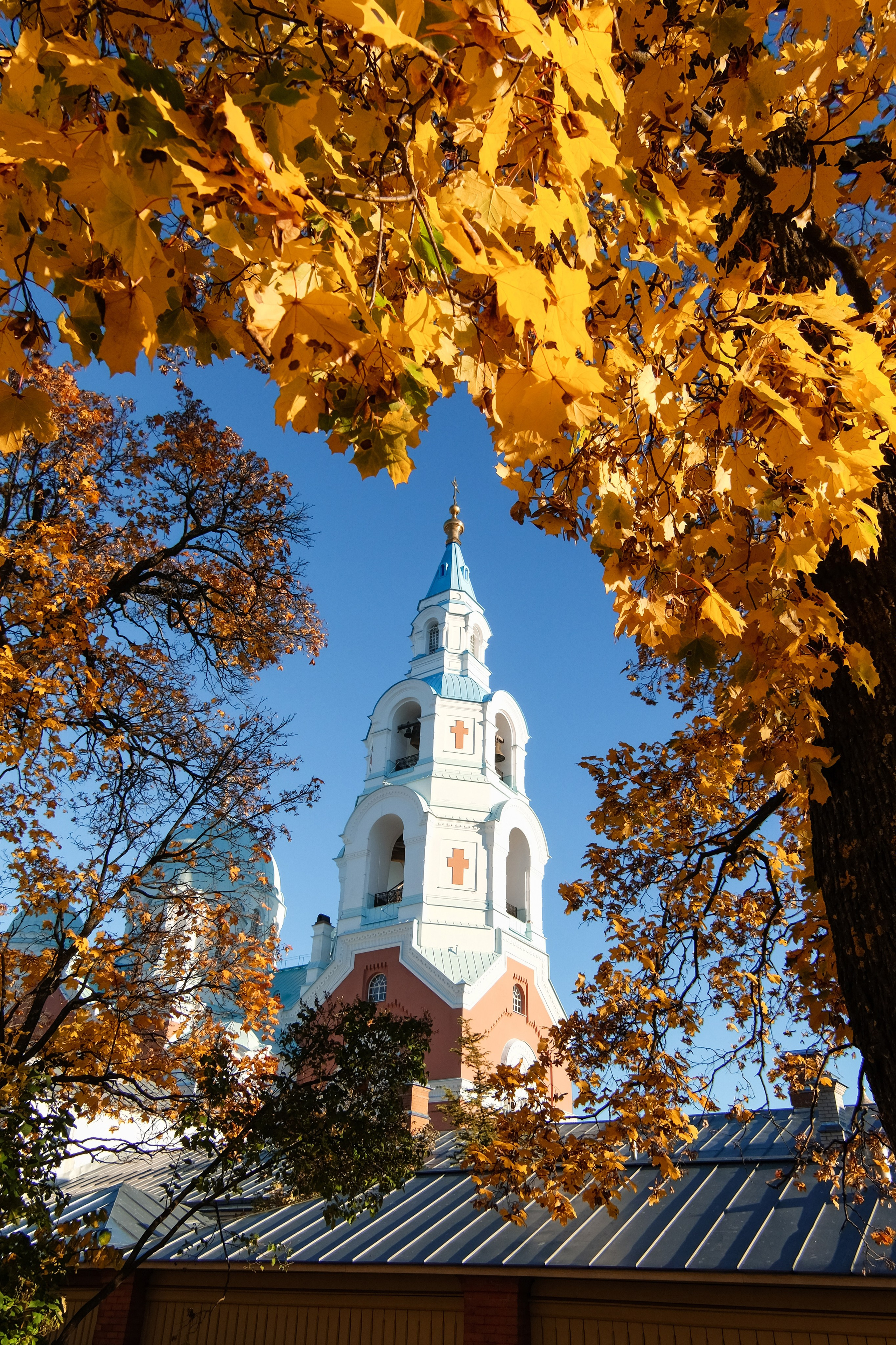 Природа. Трандин Иван Фотограф СПб