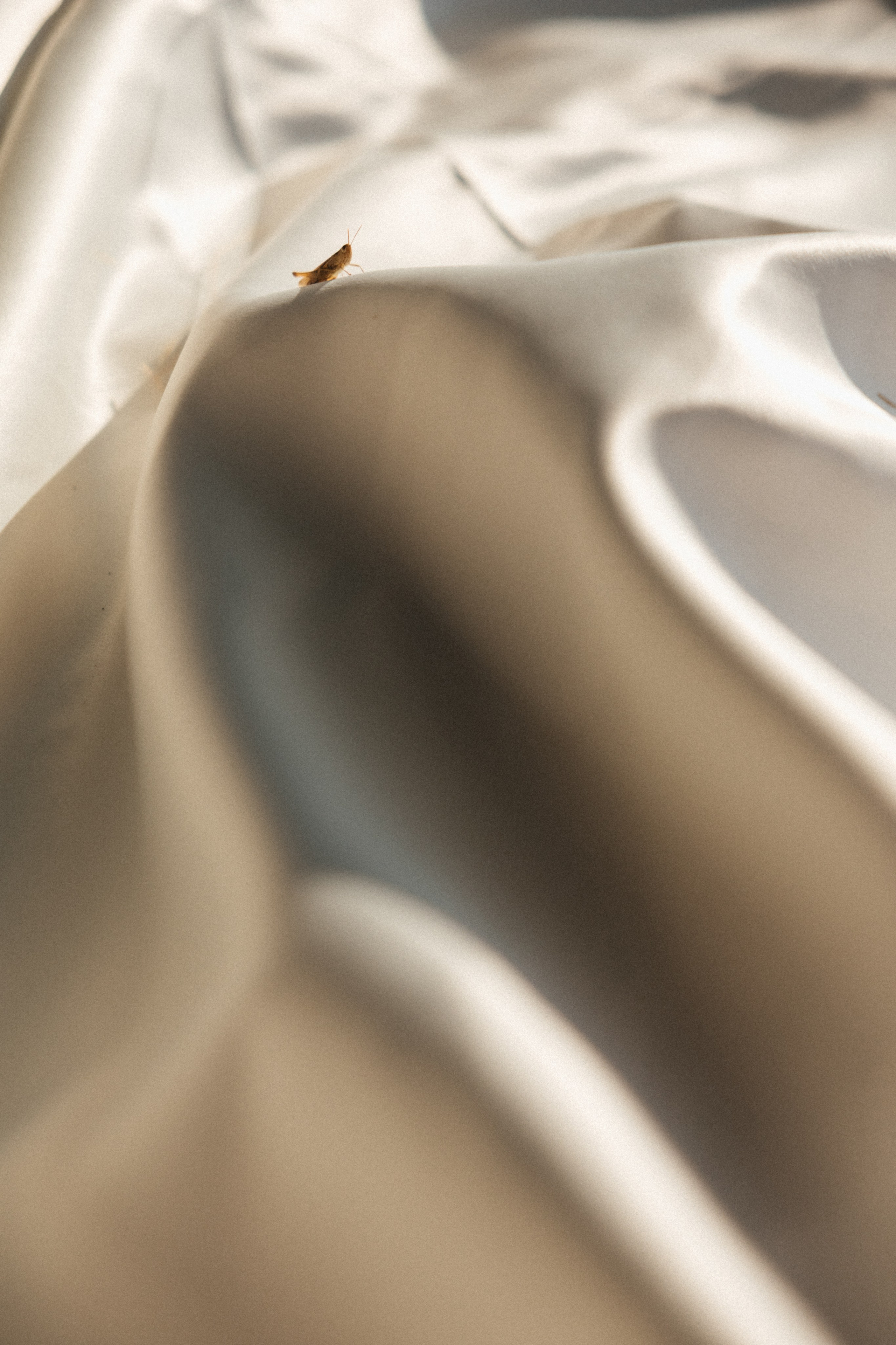 Шепот трав. Свадебный и семейный фотограф и видеограф, Крым, Москва, Санкт -Петербург