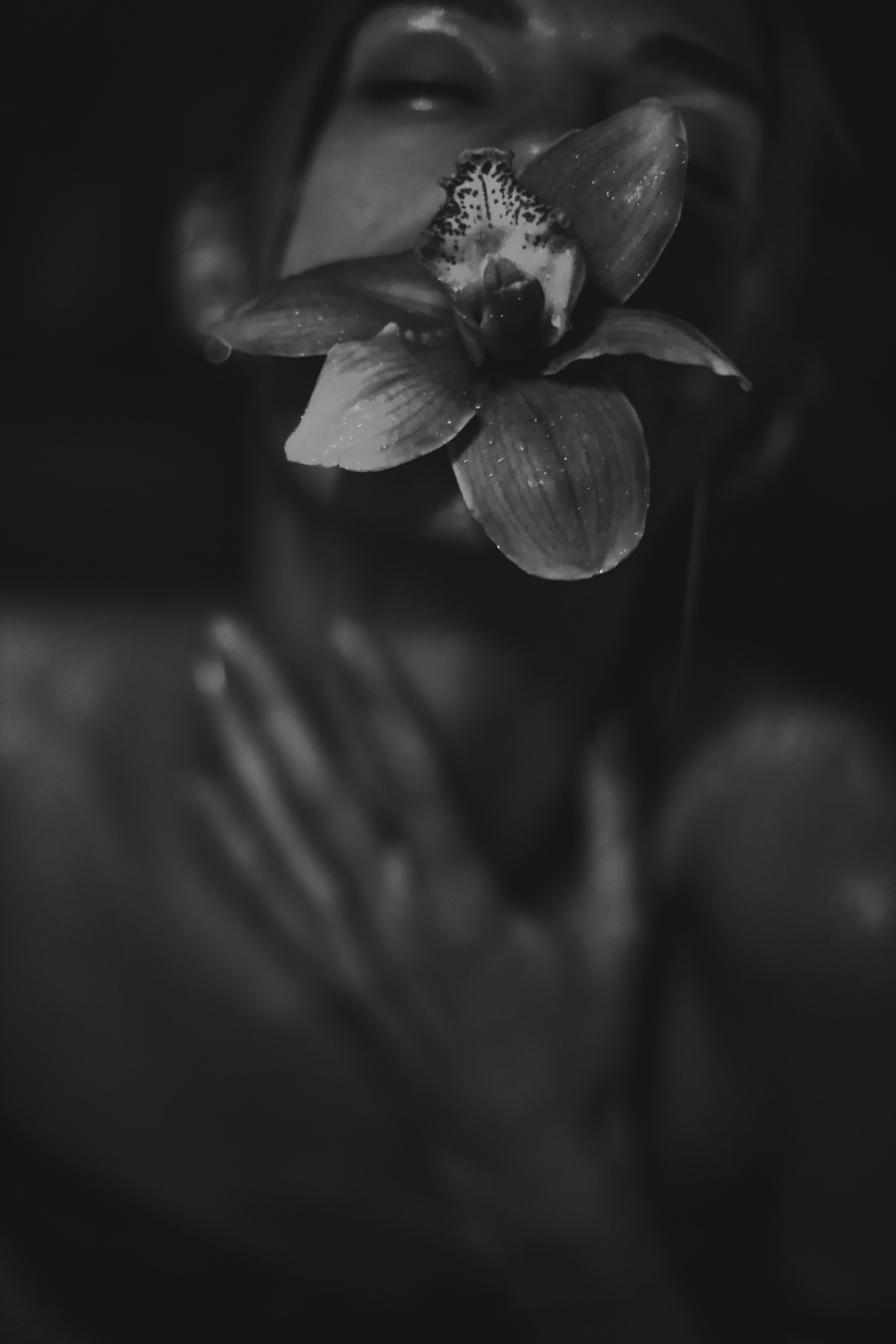 Галерея. С ⁐ Ф Ь Я визуальный артист — фото видео декор графика