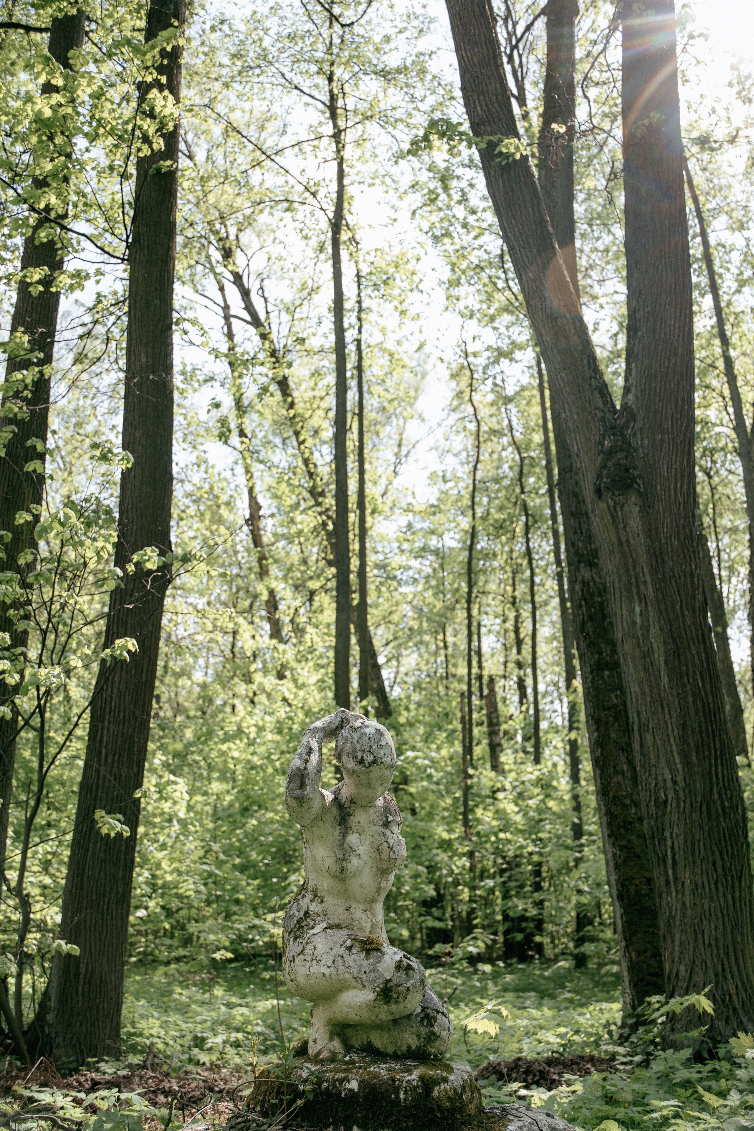 ЛЕС Event House выездная регистрация и свадебный банкет на площадке ЛЕС. Свадебный фотограф Москва