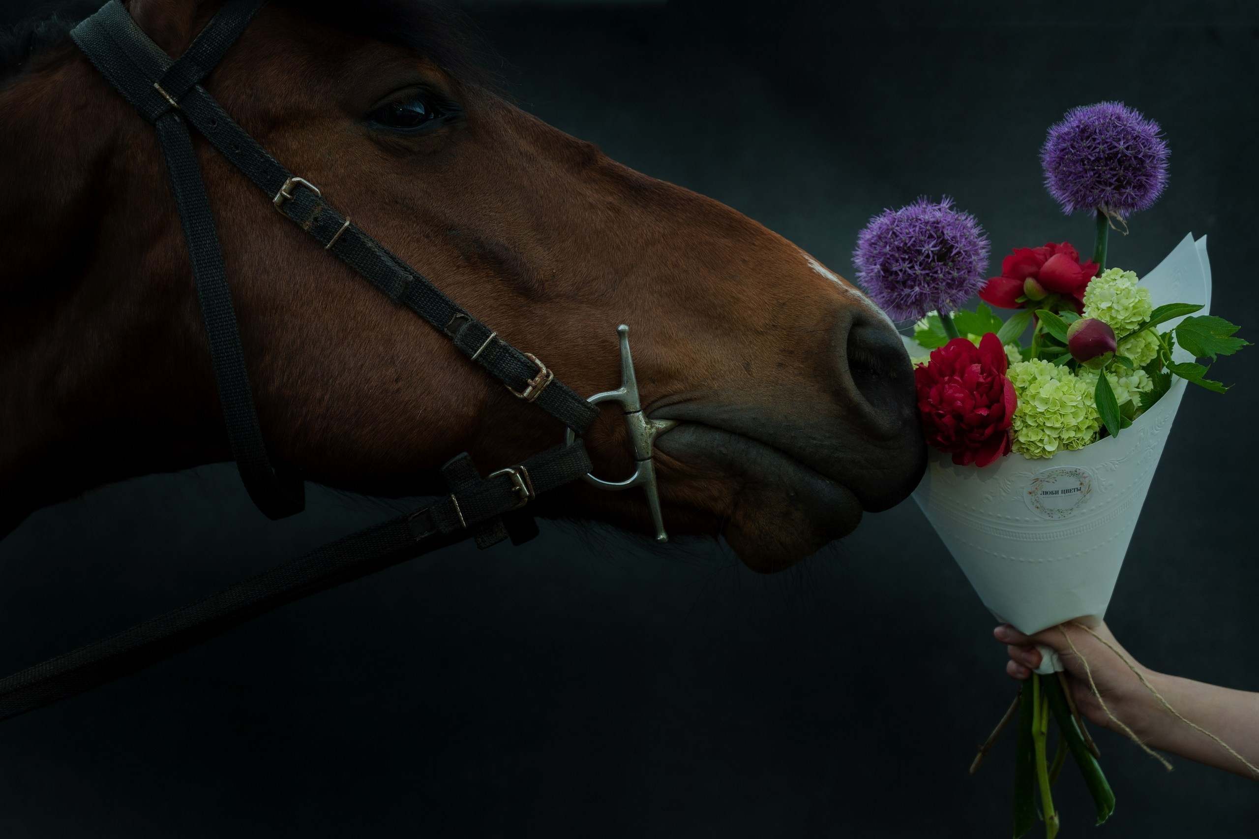 ЛЮБИ ЦВЕТЫ флористическая мастерская. ЛЮБИМЫЕ ЦВЕТЫ