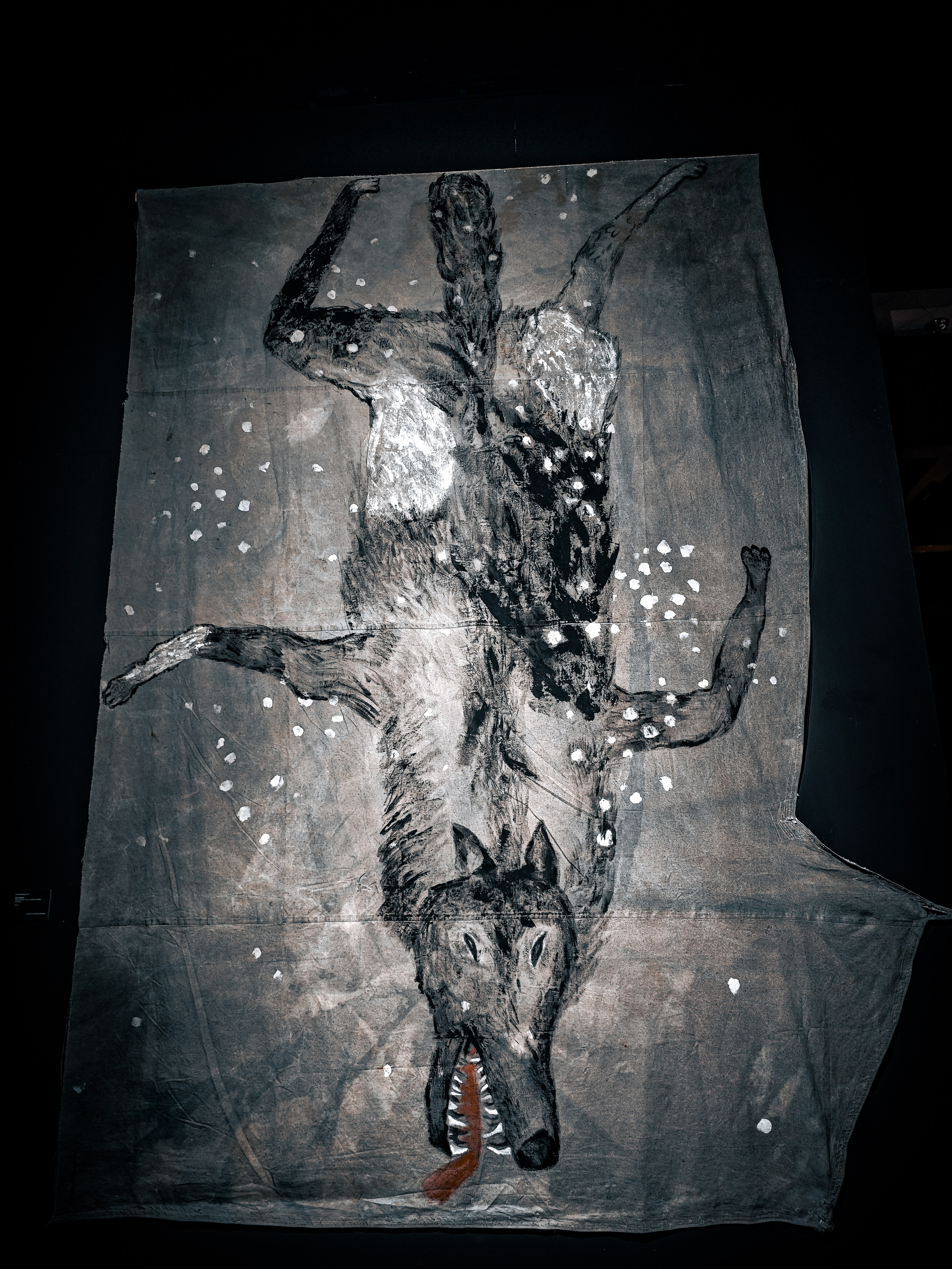 Выставка «Сны Сибири». Игорь Урывский. Фотограф Красноярск