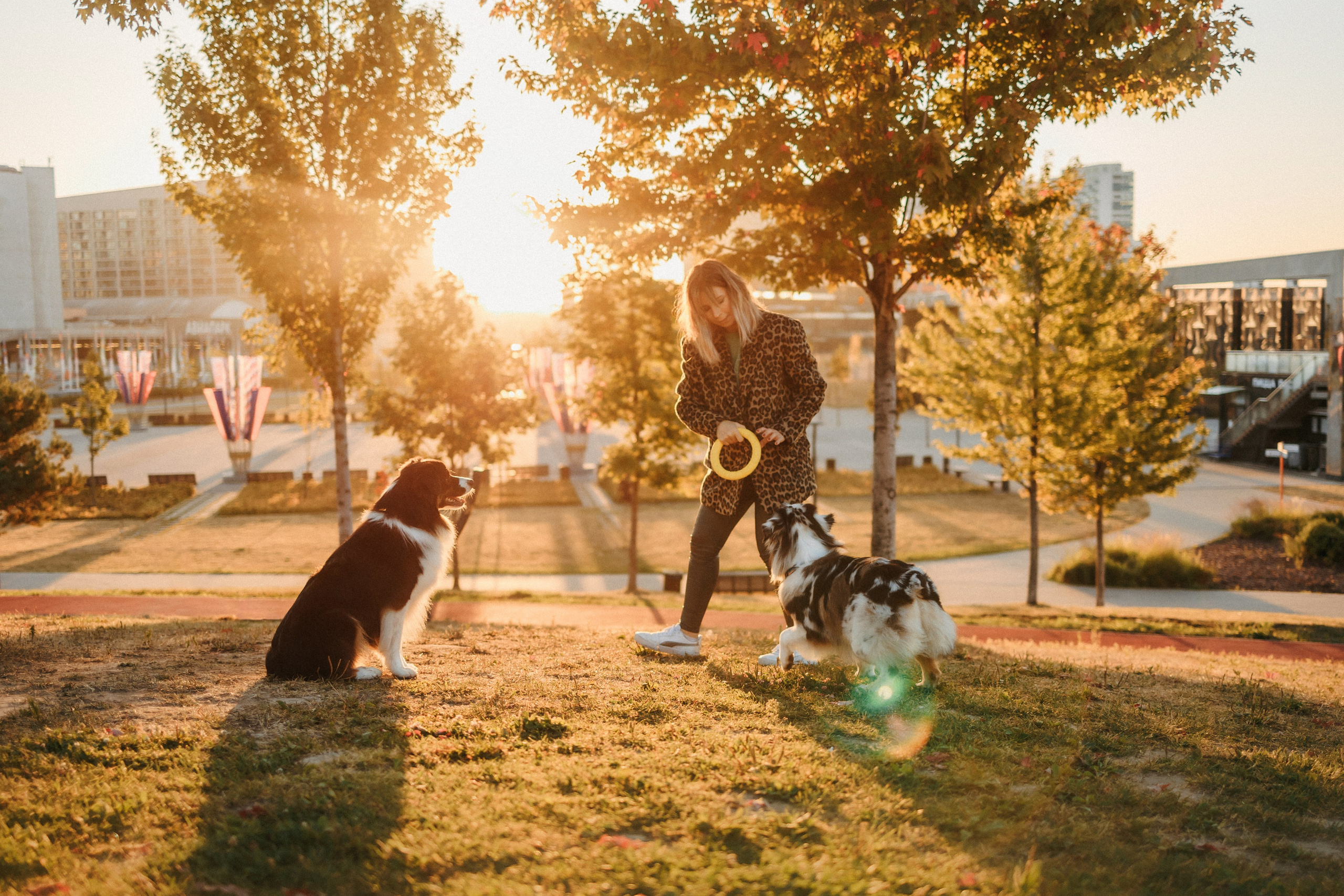Аня, Чарли и Ева. Фотограф-анималист Елена Радченко, Москва