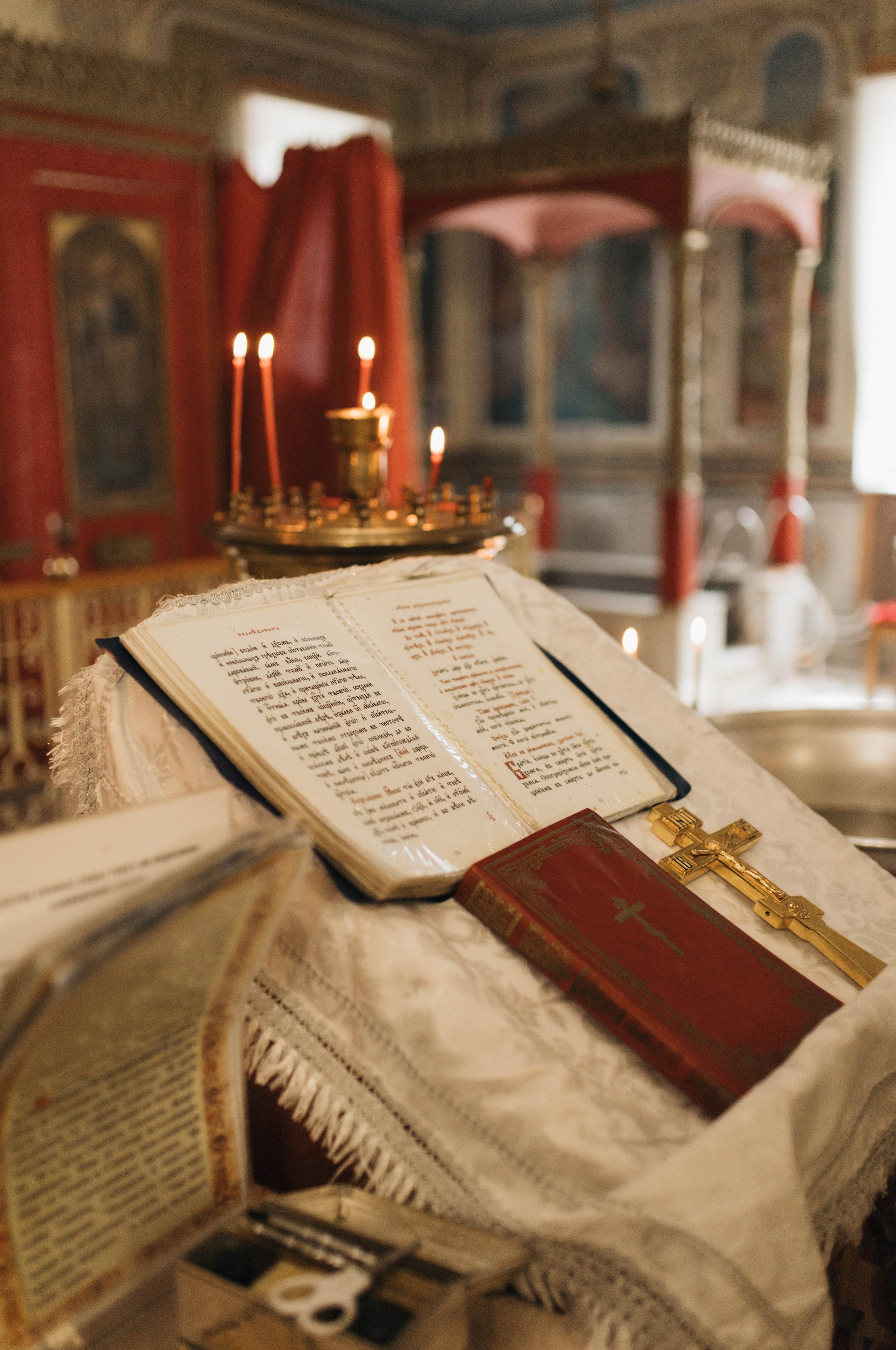 Алина. Миронова Анастасия