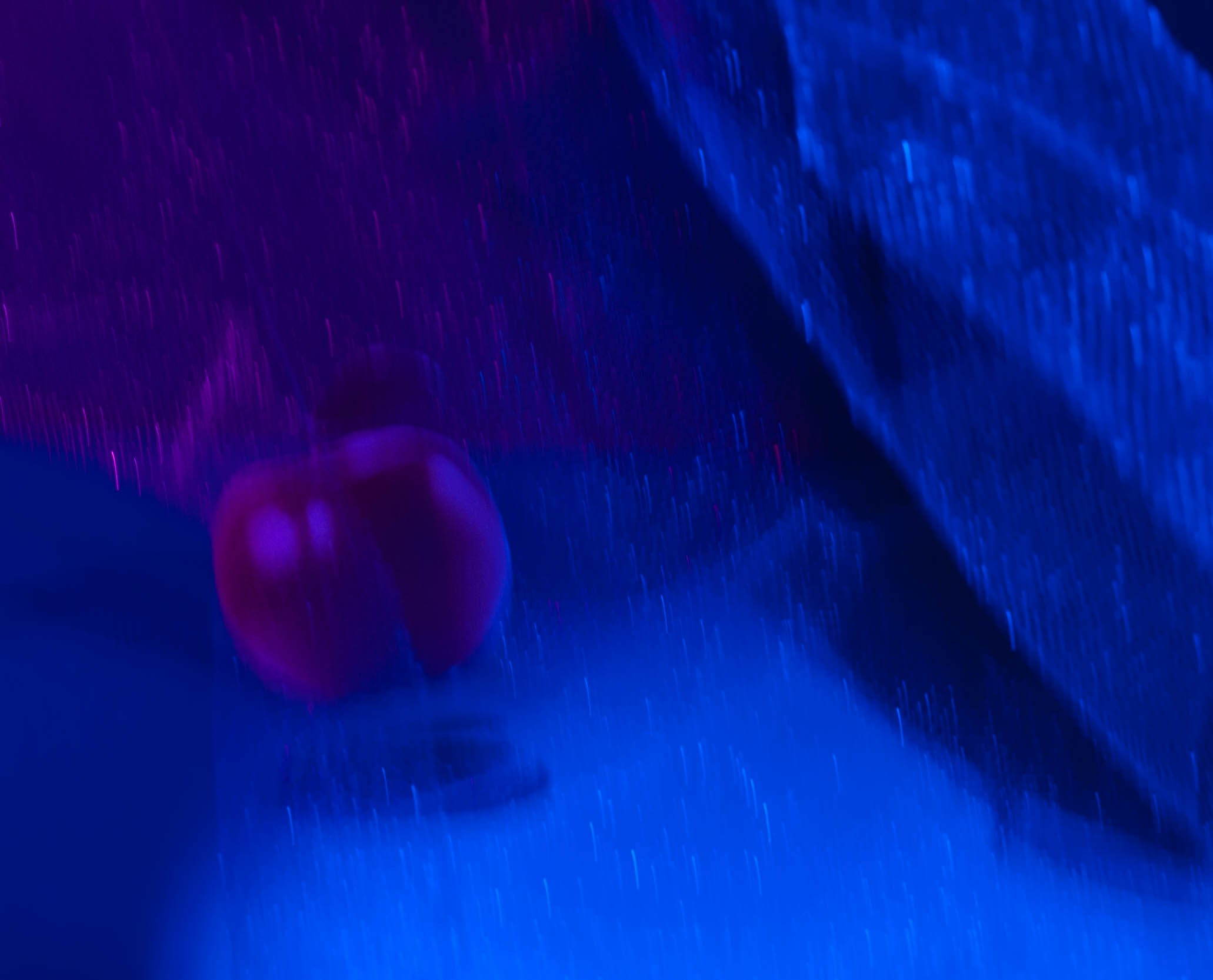 Интерьеры, ландшафты, предметы. Портретный фотограф в республике Алтай Юлия Шевченко