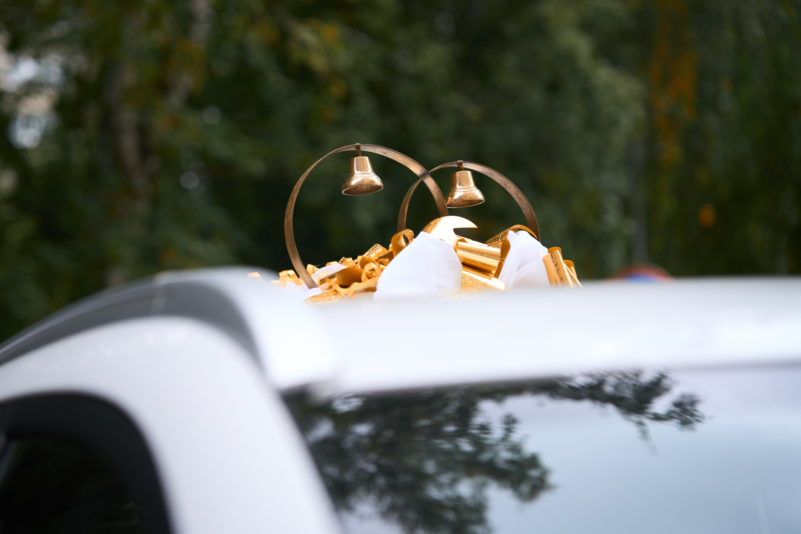 Родион и Дарья. Фотограф видеограф Руслан Михайлов Томск