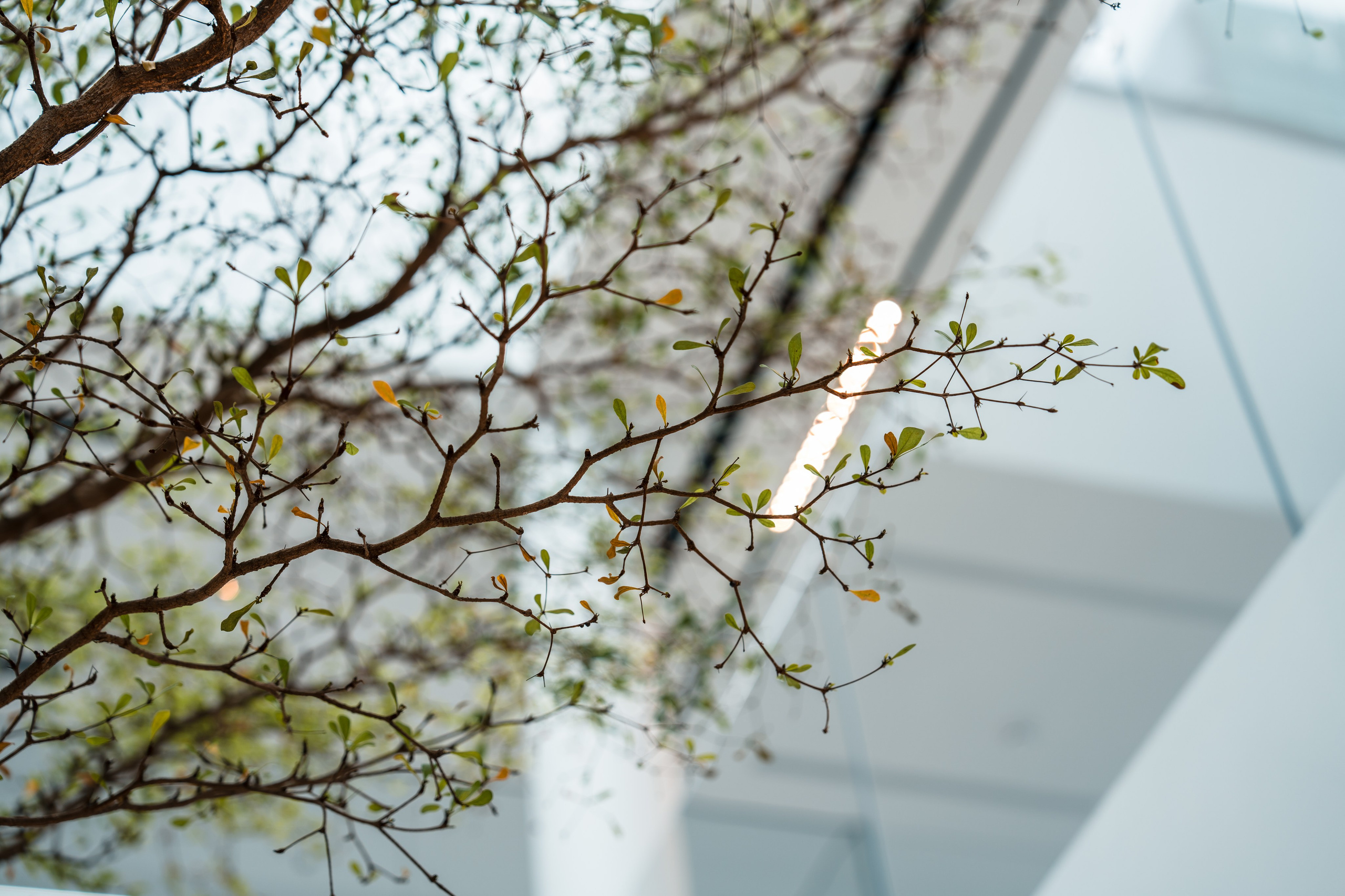 Moments, FORMA. @tomrus: Рустам Шагиморданов — фотограф