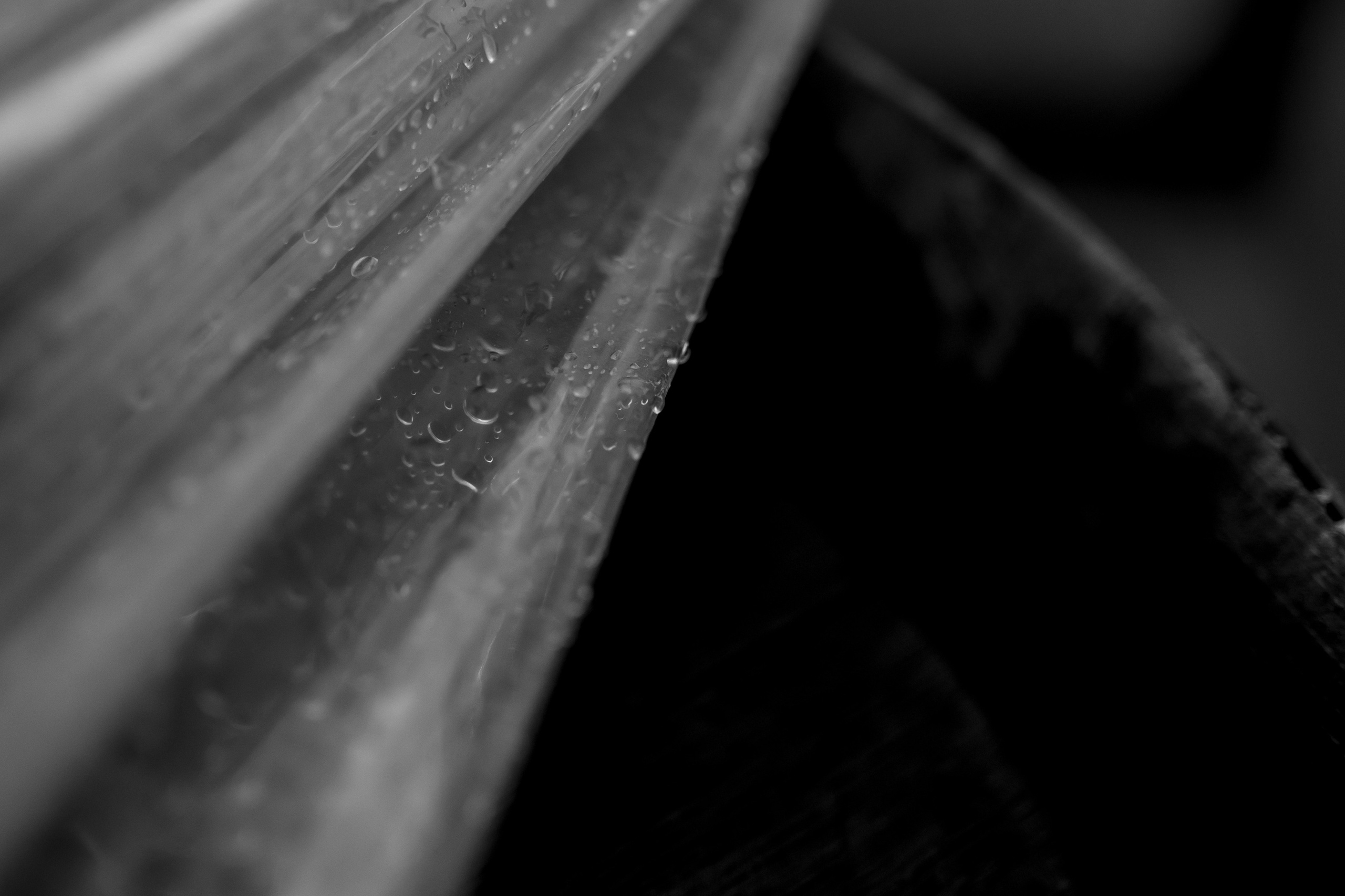 Роман и Анастасия 16/09/2024. Свадебный и семейный фотограф в Севастополе и в Крыму Анастасия Корчак