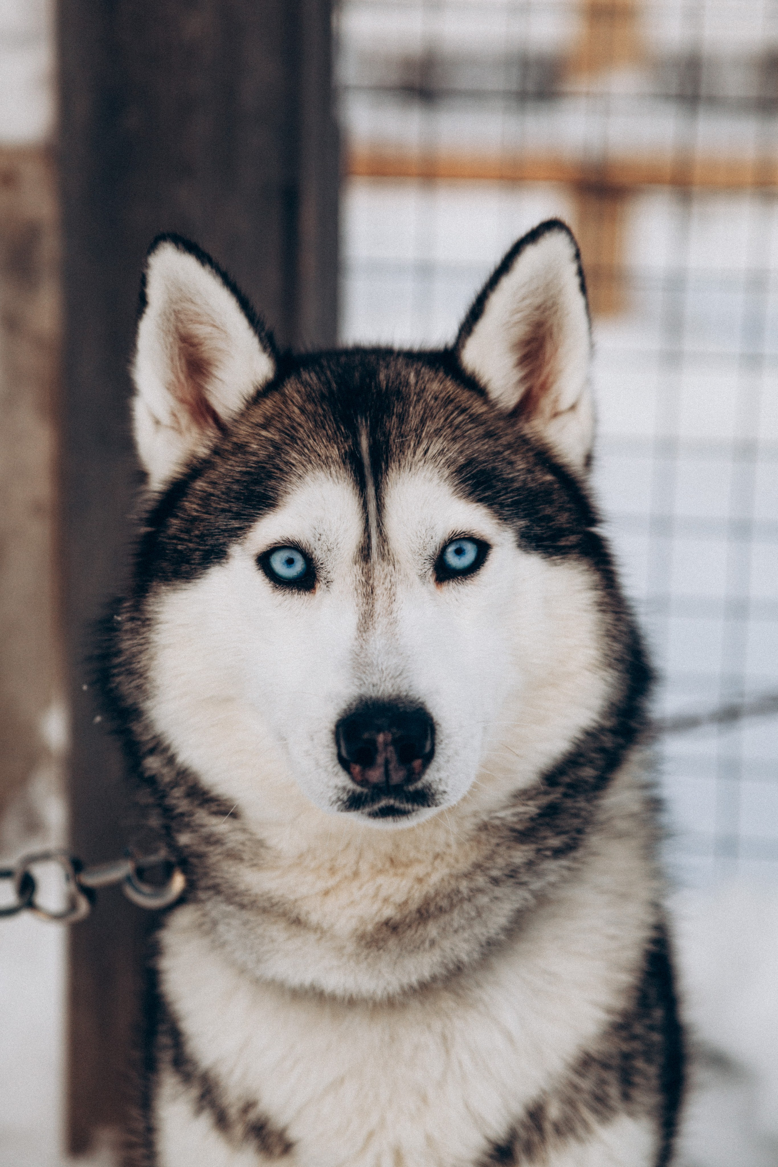 Териберка 2025. Репортажный и детский фотограф в Минске