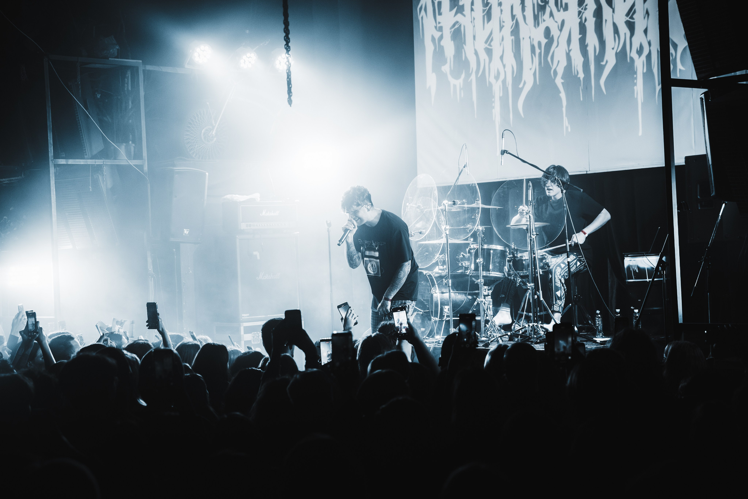 Гнилаялирика | 05.10.25 | Ласточка