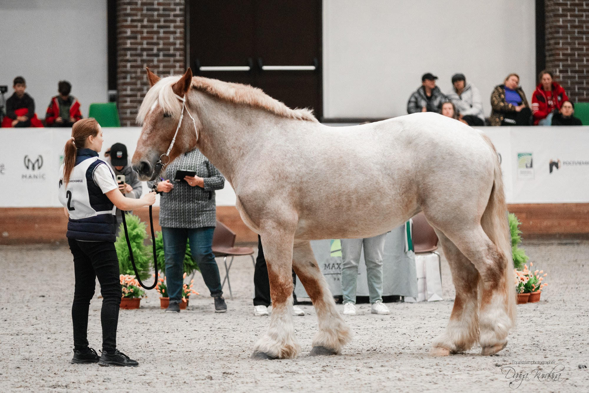 8-я международная выставка Конная Россия. Конный фотограф Куракина Дарья • Фотосессии с лошадьми