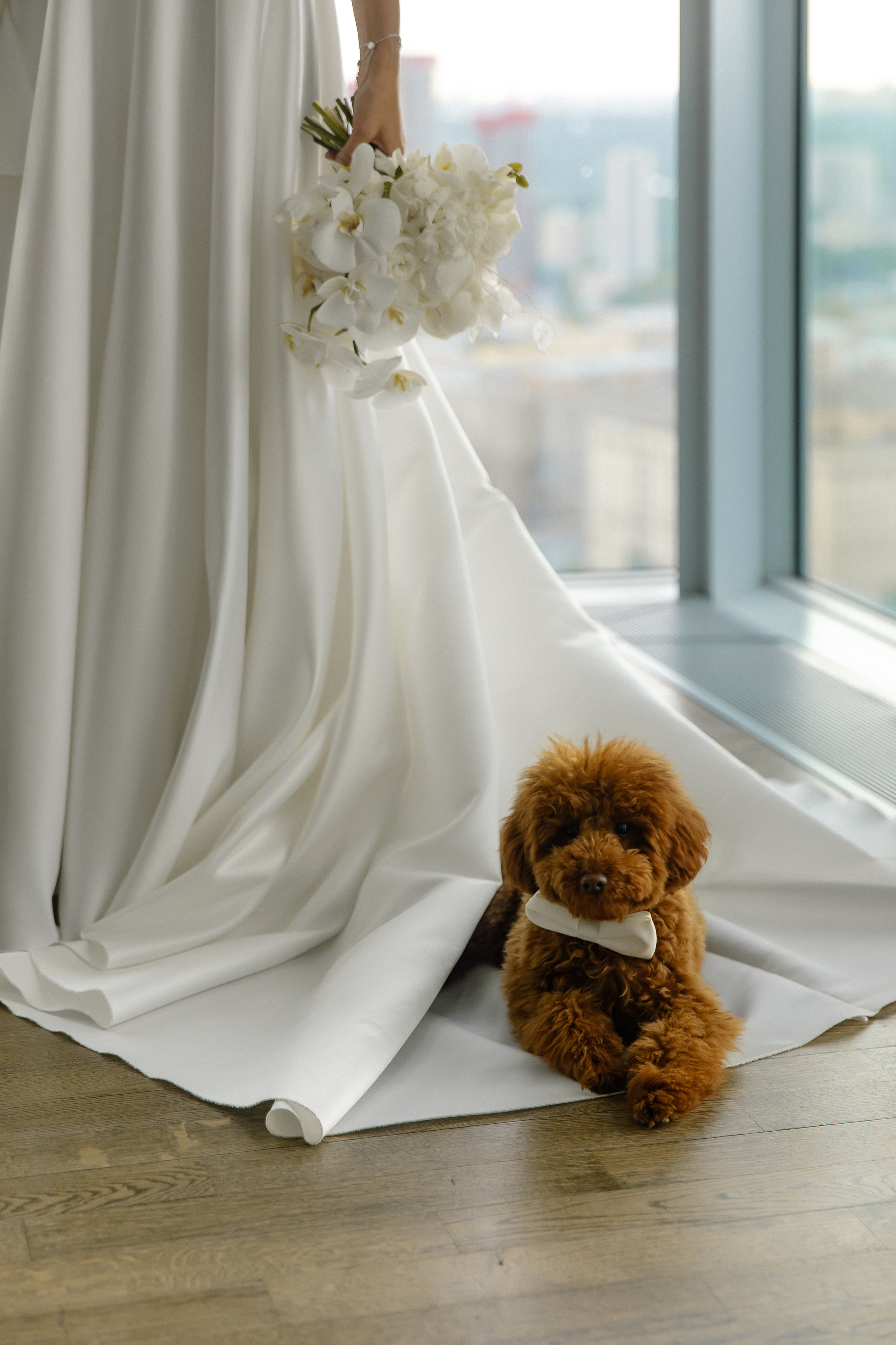 Андраник и Альфия. Свадебный фотограф Москва и Санкт-Петерург Артем Мамонов