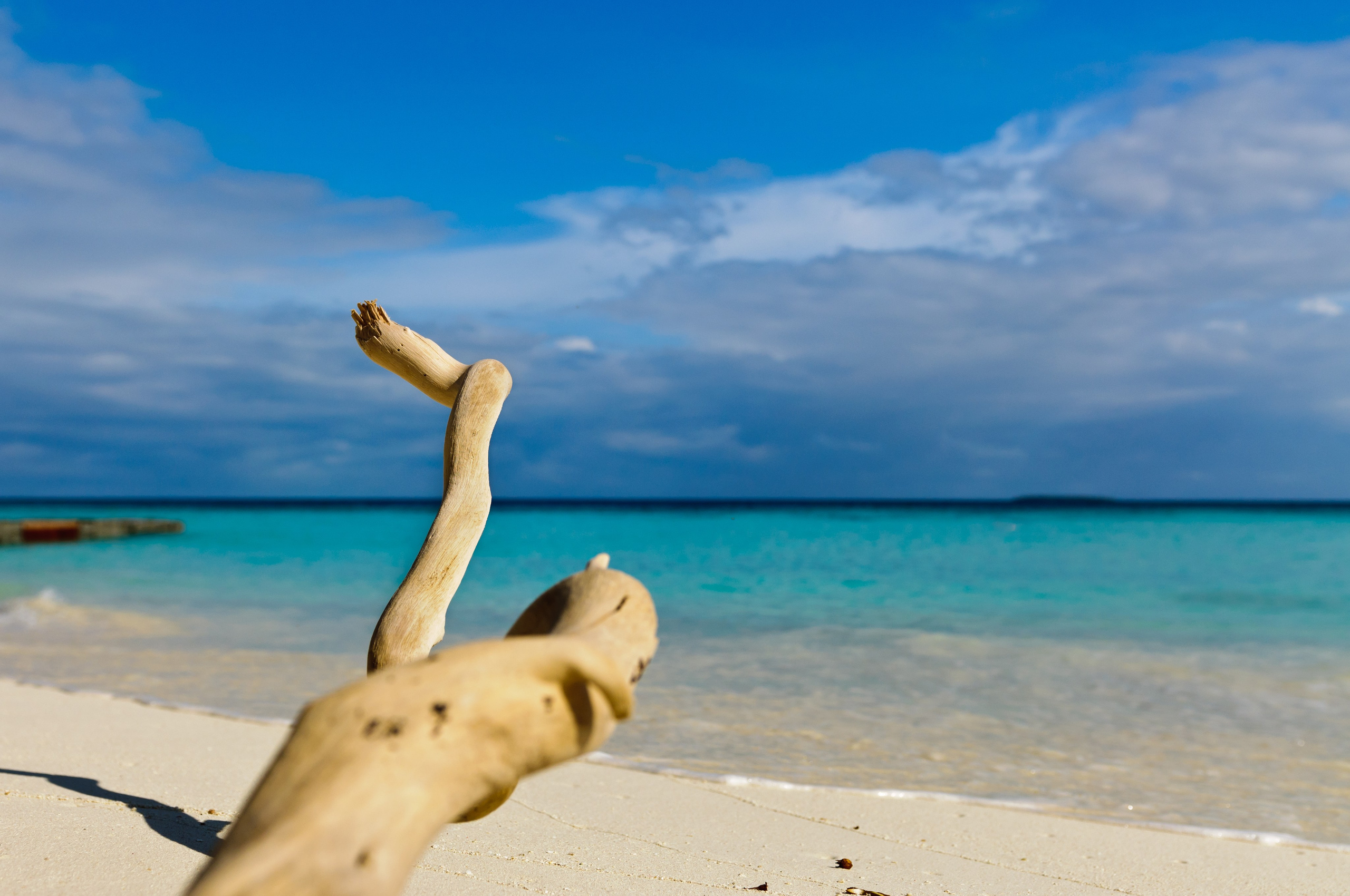 Высохшее дерево на белоснежном пляже с бирюзовой водой. Мальдивы