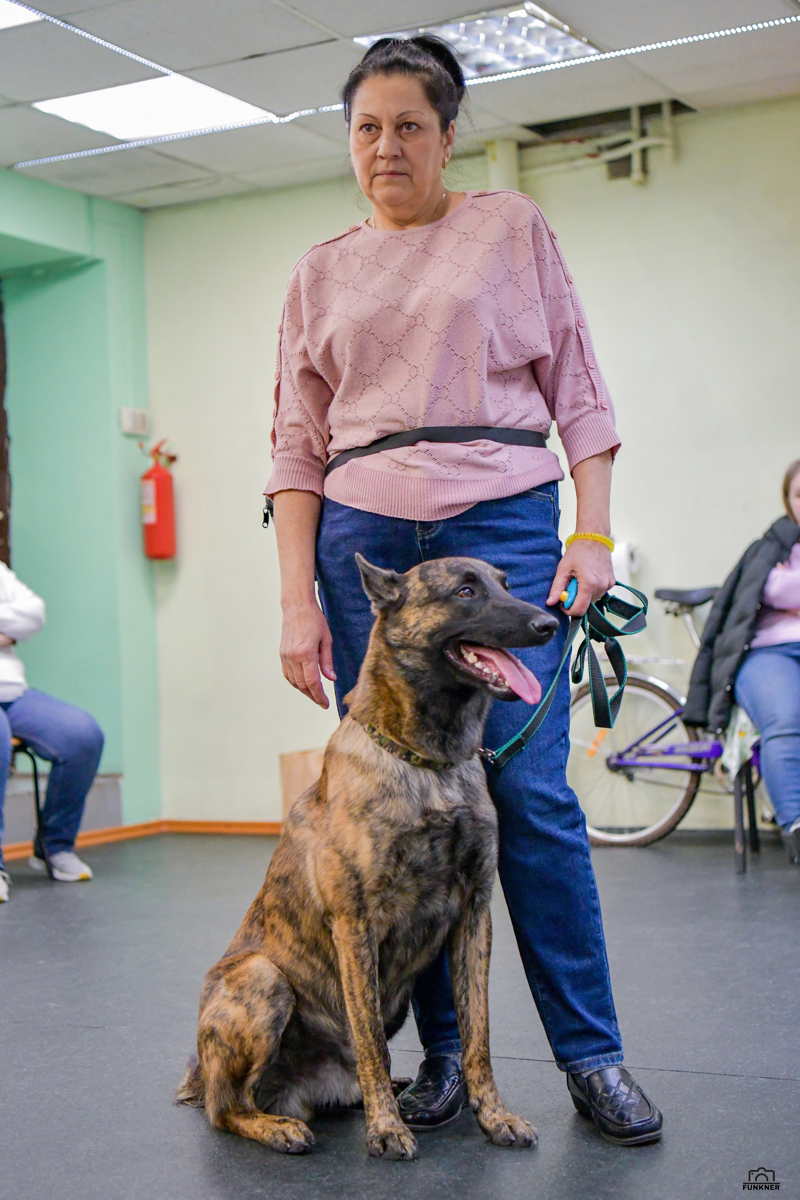 Кинологический клуб «Бодрый хвост». Свой взгляд через объектив