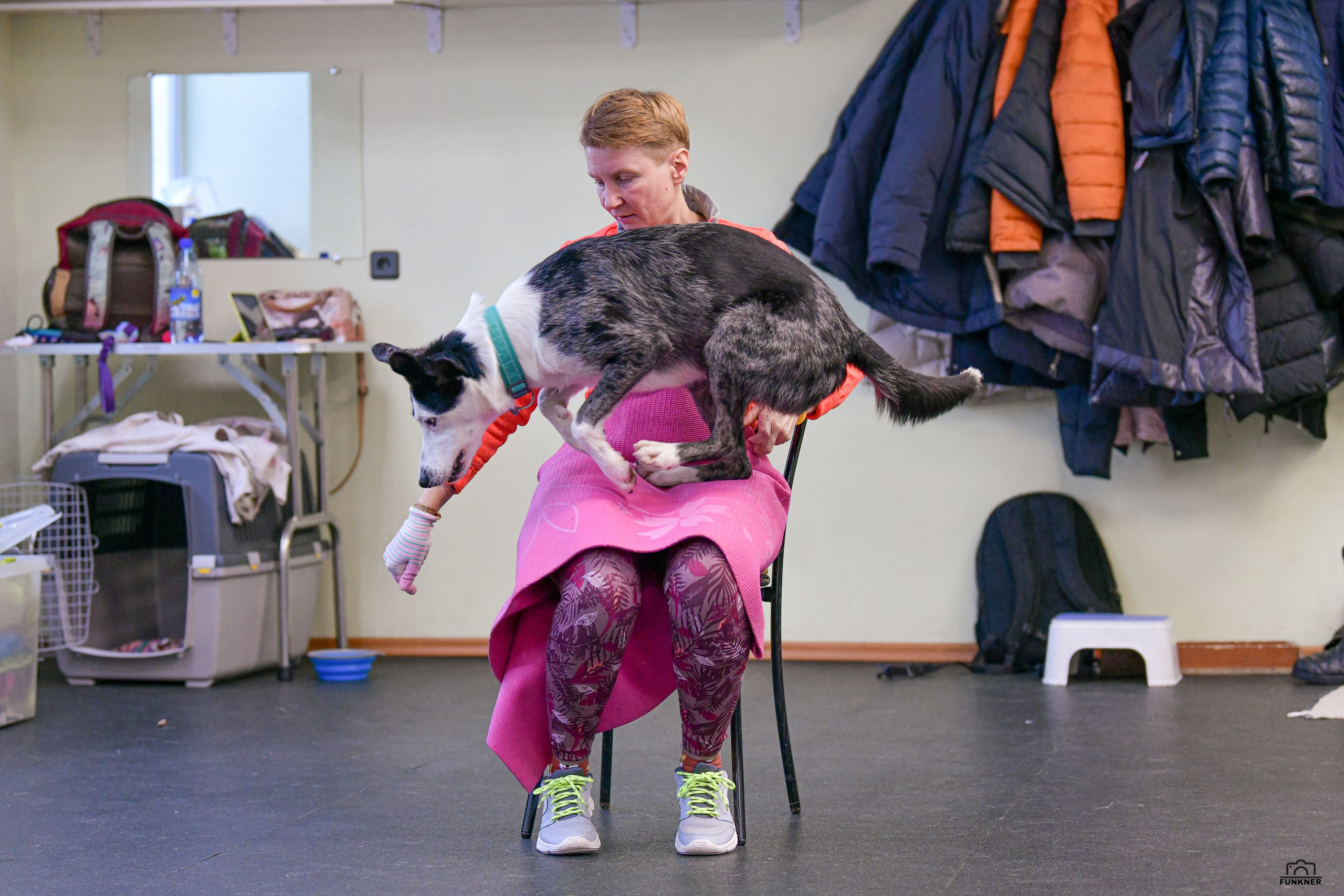 Кинологический клуб «Бодрый хвост». Свой взгляд через объектив