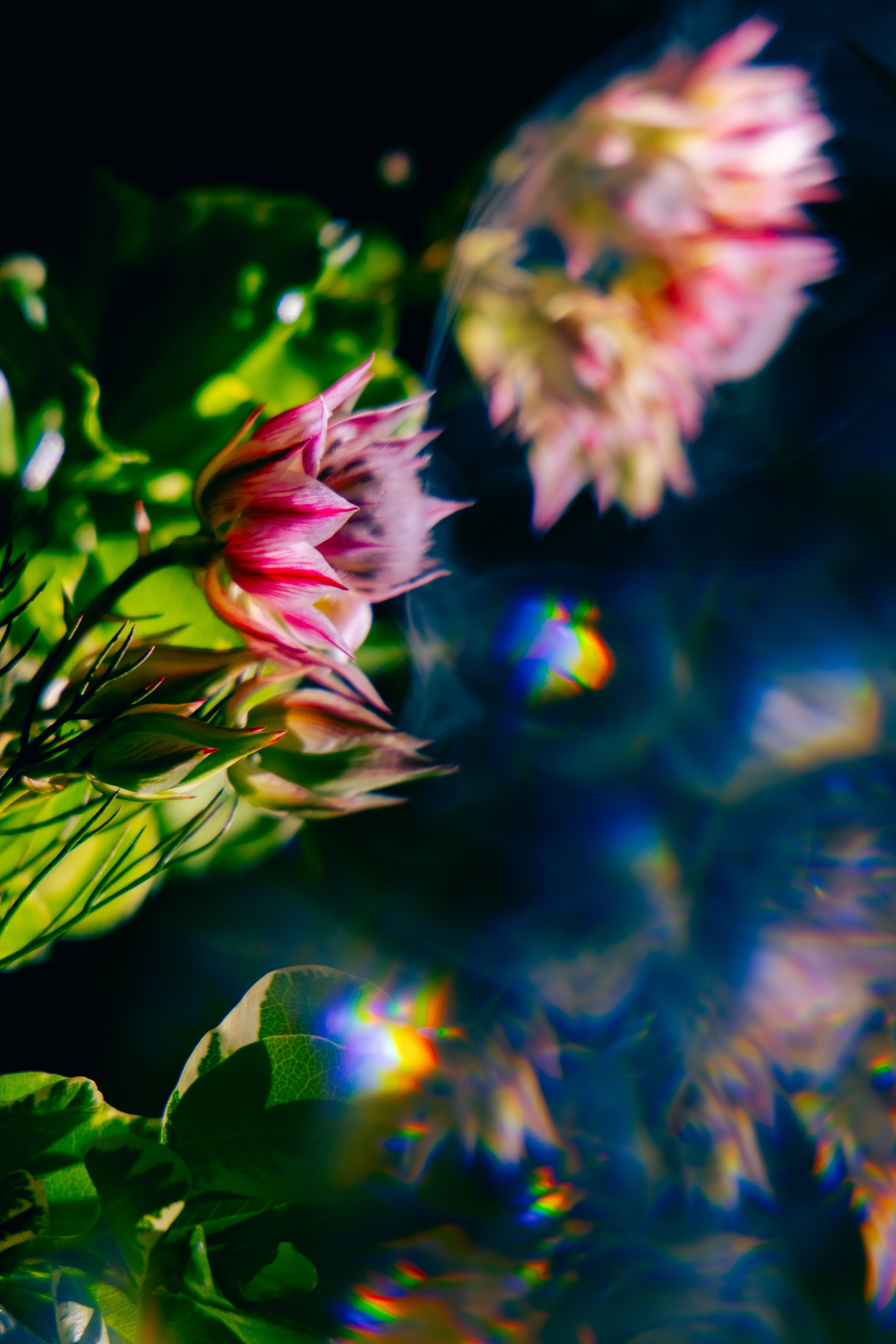 Self. Портретный фотограф Юлия Дроздова | Санкт-Петербург | Москва