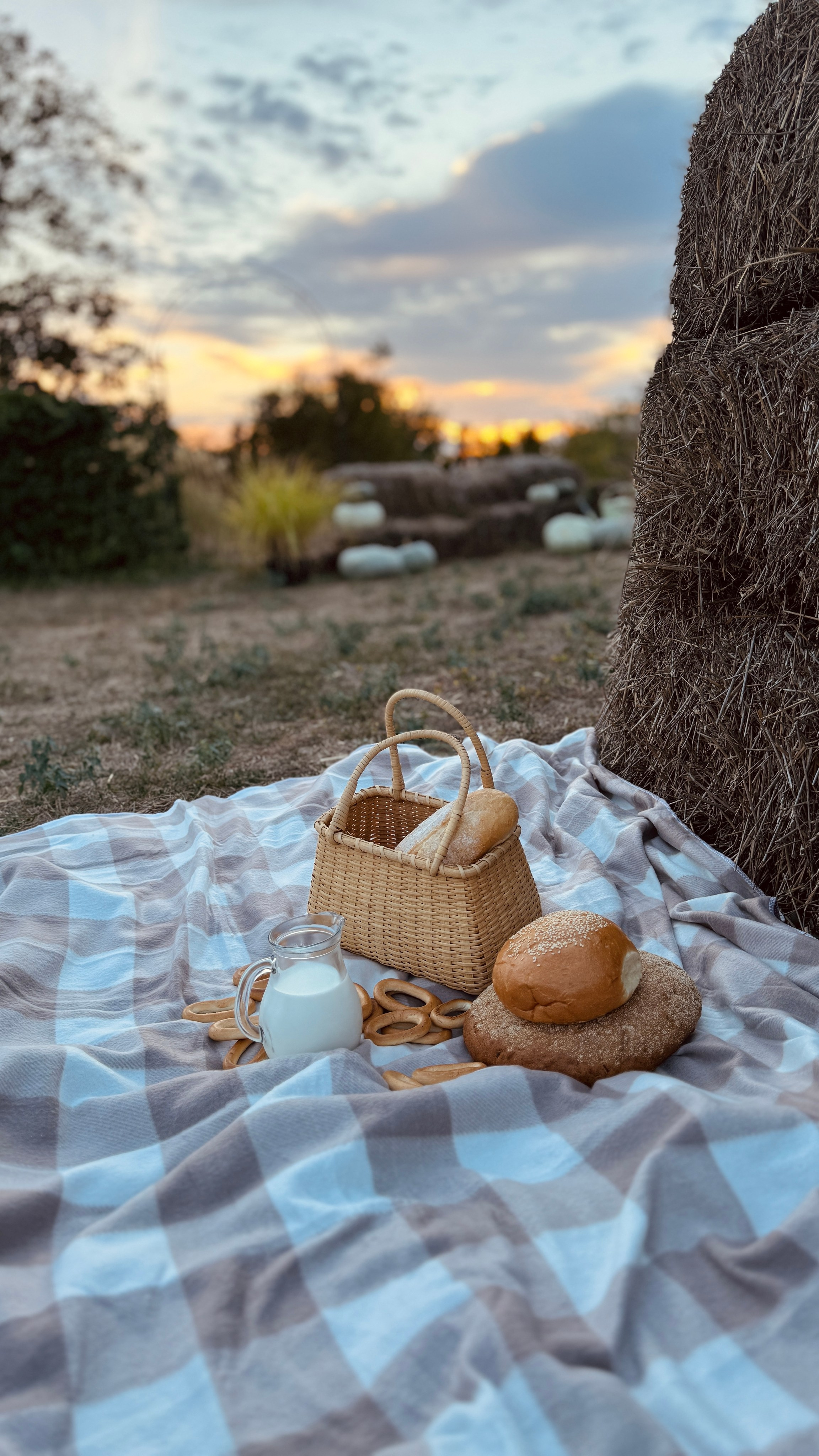 Пикники. Фотостудия Натальи Забродской