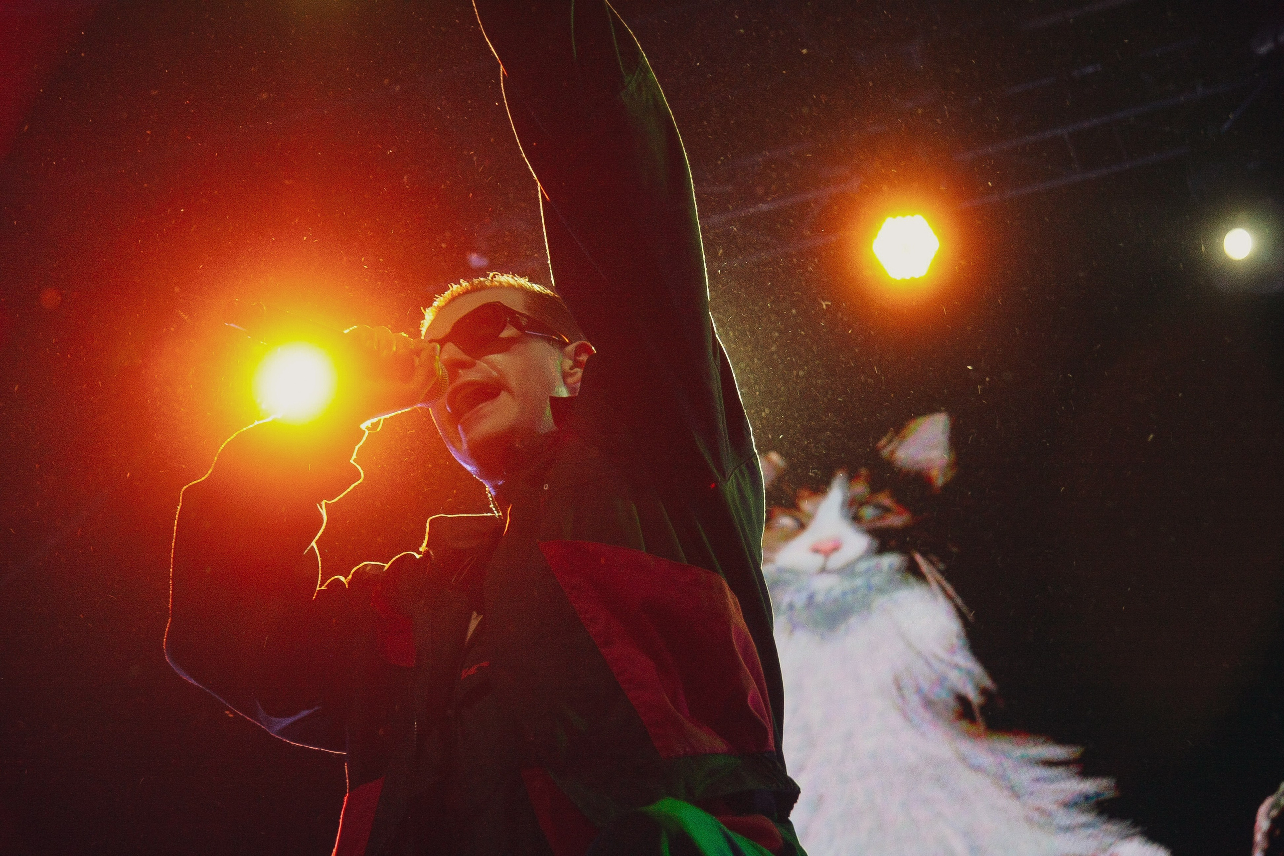 Концерты. Фотограф Романенкова Дарья Санкт-Петербург