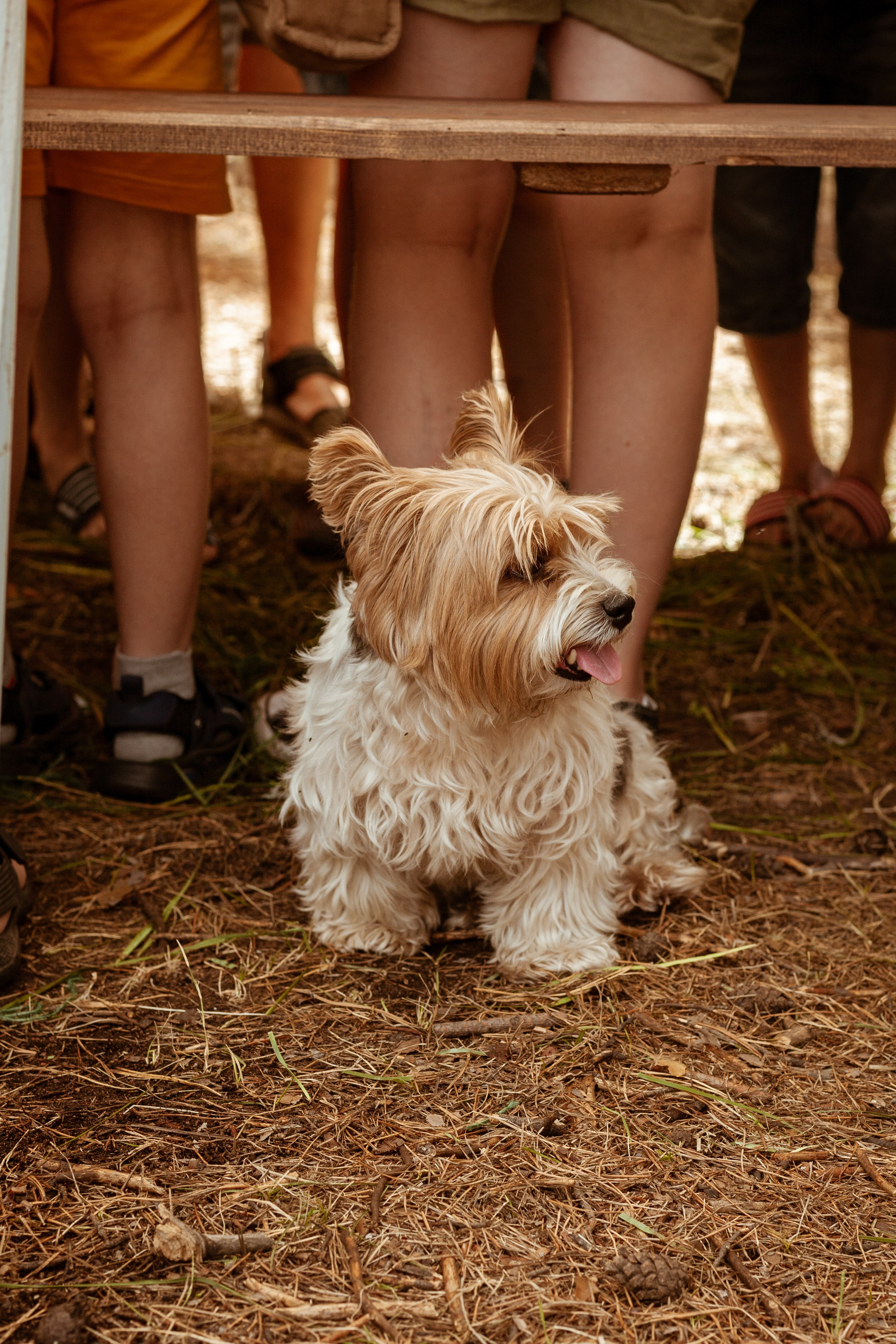 Чакра 2024. Фотограф Старый Оскол Мавлыга Мария