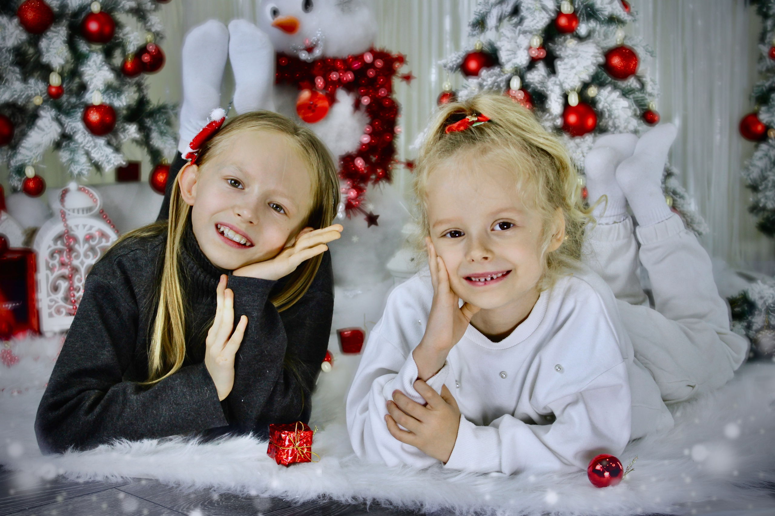 Скоро Новый Год. Портфолио