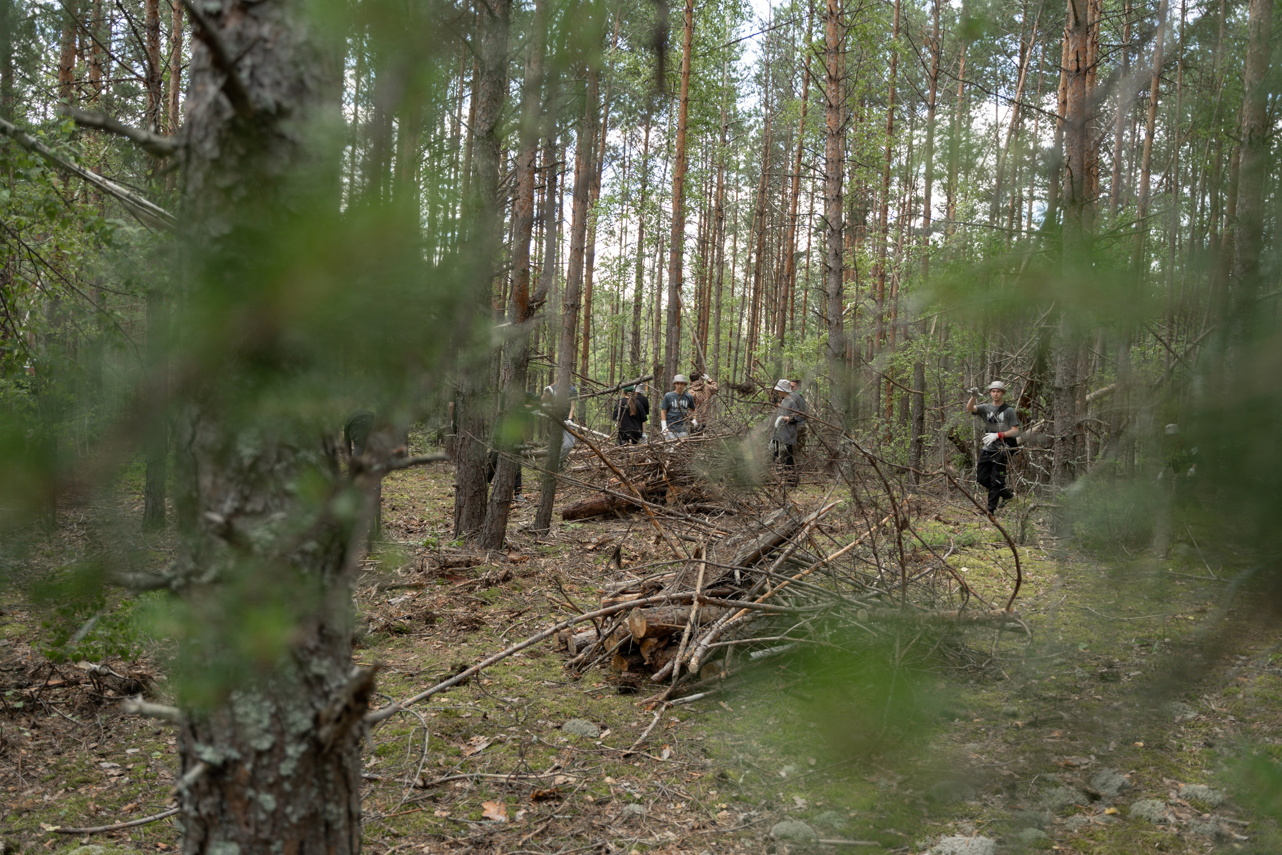 Эко-сборы добровольцев «О! Пушка» в национальном парке «Мещерский» 2024. Фотограф Надежда Погребняк | Рязань | Москва