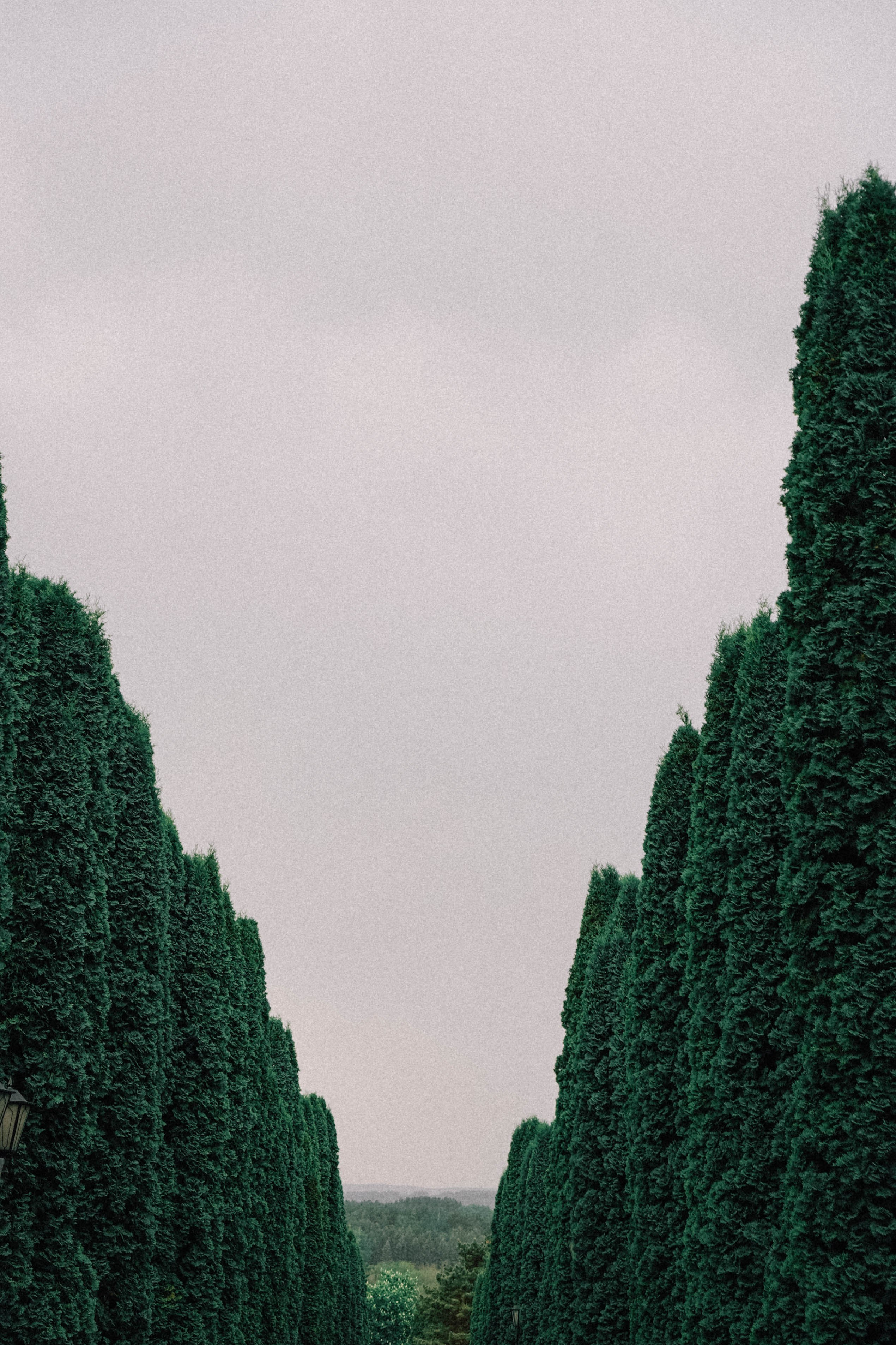 КИСЛОВОДСК. Профессиональный фотограф, Санкт-Петербург — Виктория Богомолова