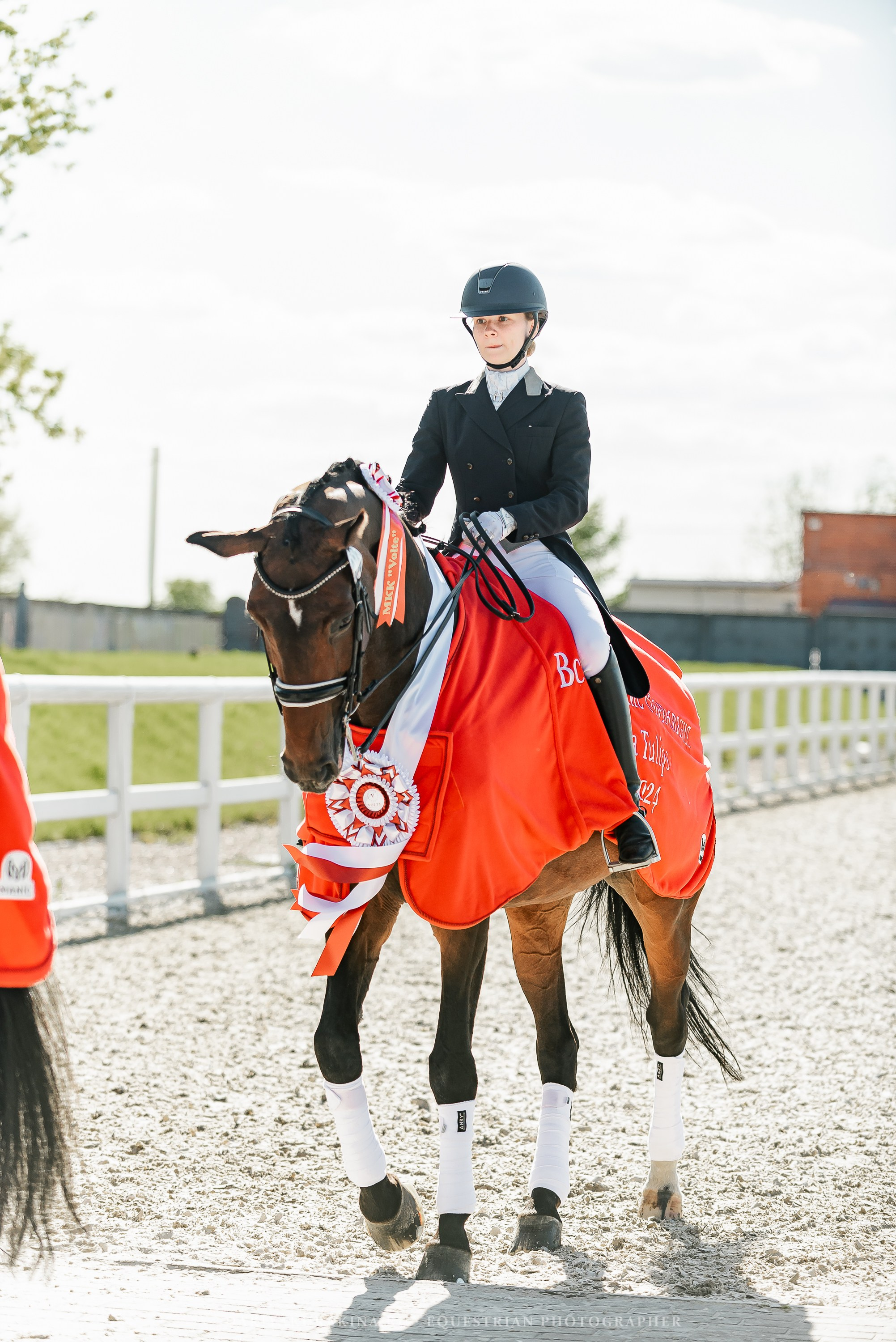 РЕПОРТАЖ МКК ВОЛЬТ «LA TULIPS». Конный фотограф Куракина Дарья • Фотосессии с лошадьми