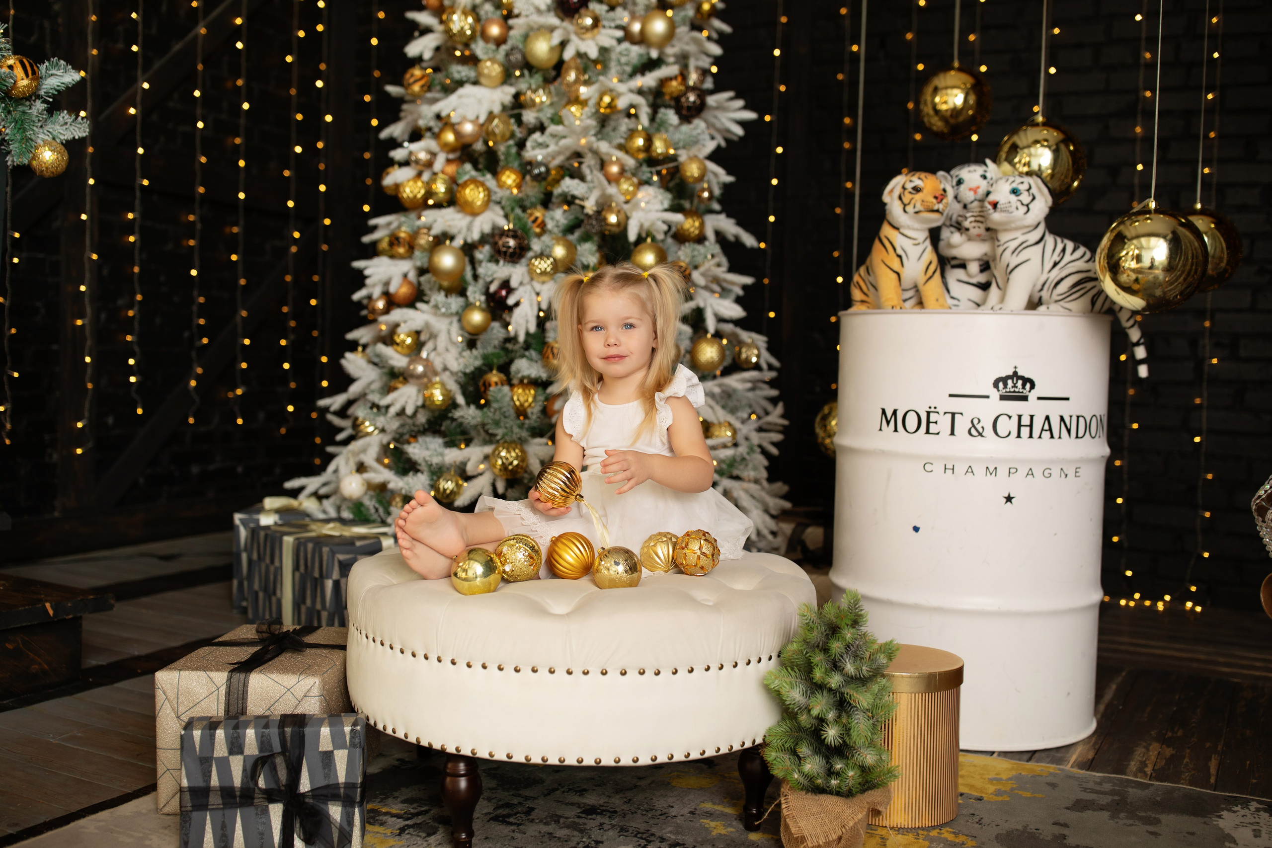 Фотограф на новый год, новогодняя фотосессия в Хабаровске, Новый год Хабаровск, новогодняя фотосессия в студии Хабаровск, студийная новогодняя фотосессия Хабаровск, фотограф Хабаровск, фотосессия 2026 Хабаровск,  домашняя новогодняя фотосессия, 