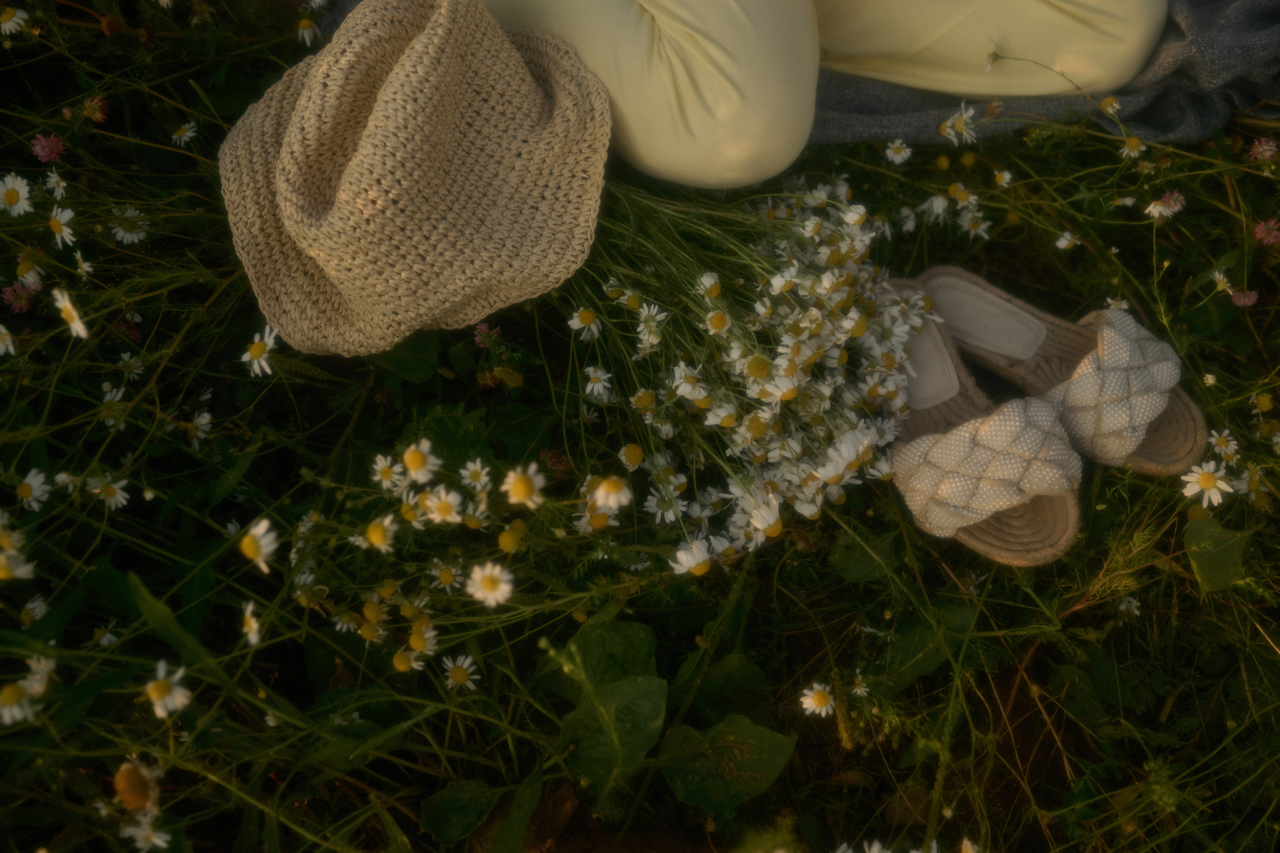 Рома, Оля, Максим и ромашки. Семейный и свадебный lifestyle-фотограф в Москве Мария Петрова