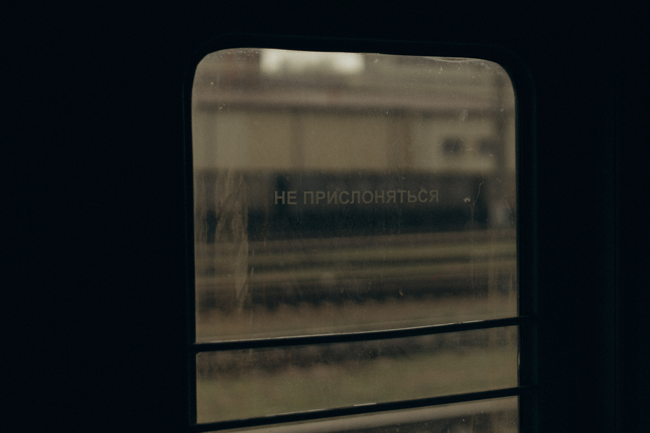 Прогулочная. Meryfotoidea