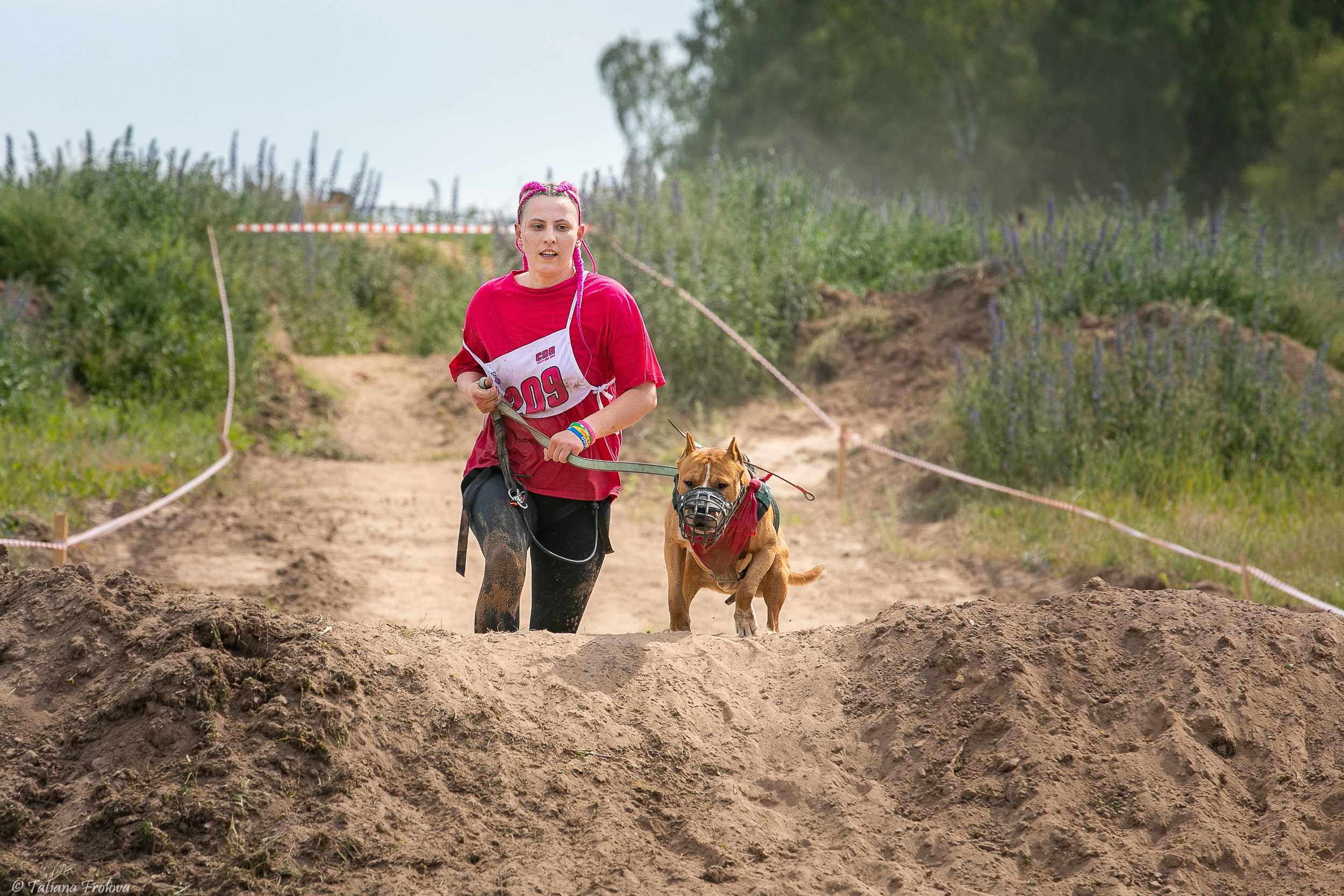 Фоторепортаж с забега с собаками. Фотограф-анималист в Москве и Московской области Татьяна Фролова