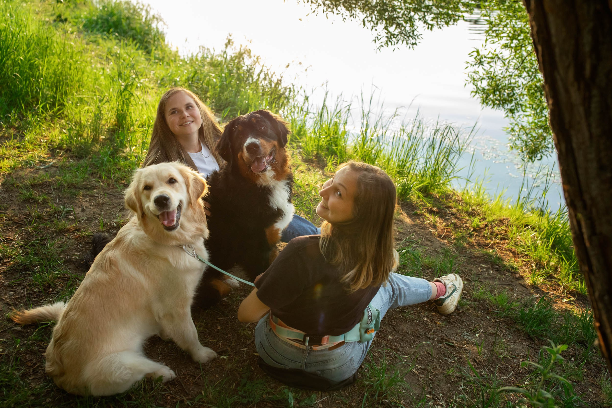 Фотопрогулка для четырех человек с собаками. Фотограф-анималист в Москве и Московской области Татьяна Фролова