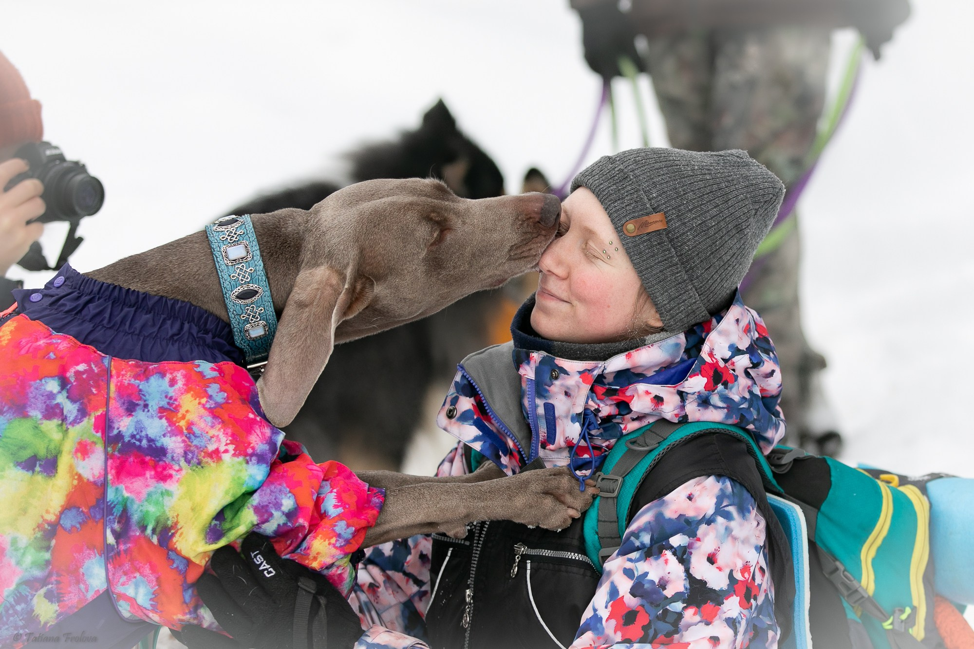 Фотосъемка похода с собаками в Московской области. Фотограф-анималист в Москве и Московской области Татьяна Фролова