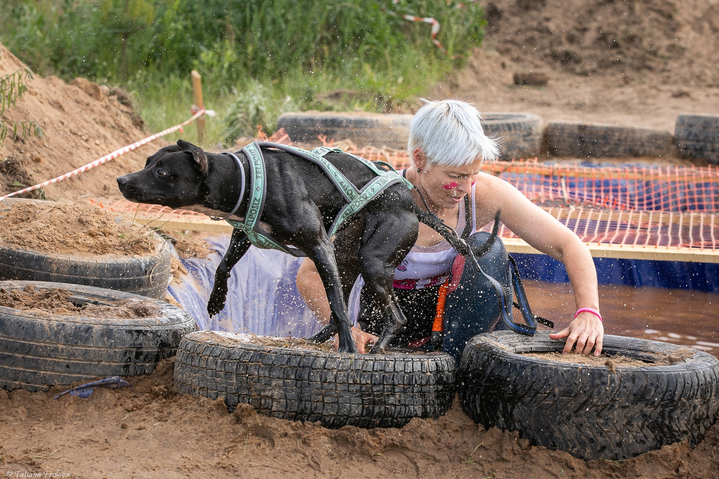 Фоторепортаж с забега с собаками. Фотограф-анималист в Москве и Московской области Татьяна Фролова