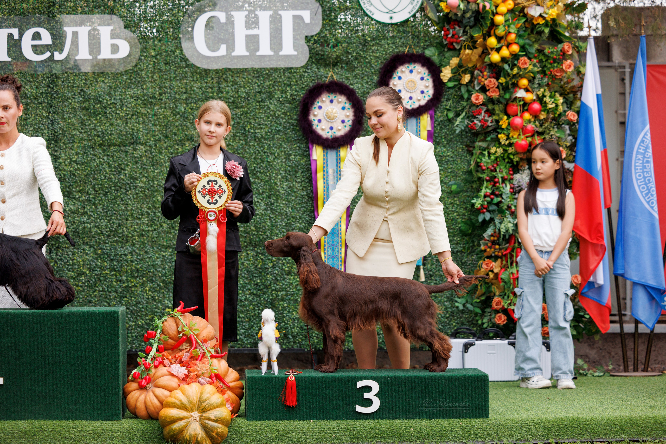 Бишкек 3х CACIB 26-28.09.2025. Фотограф-анималист Юлия Германика