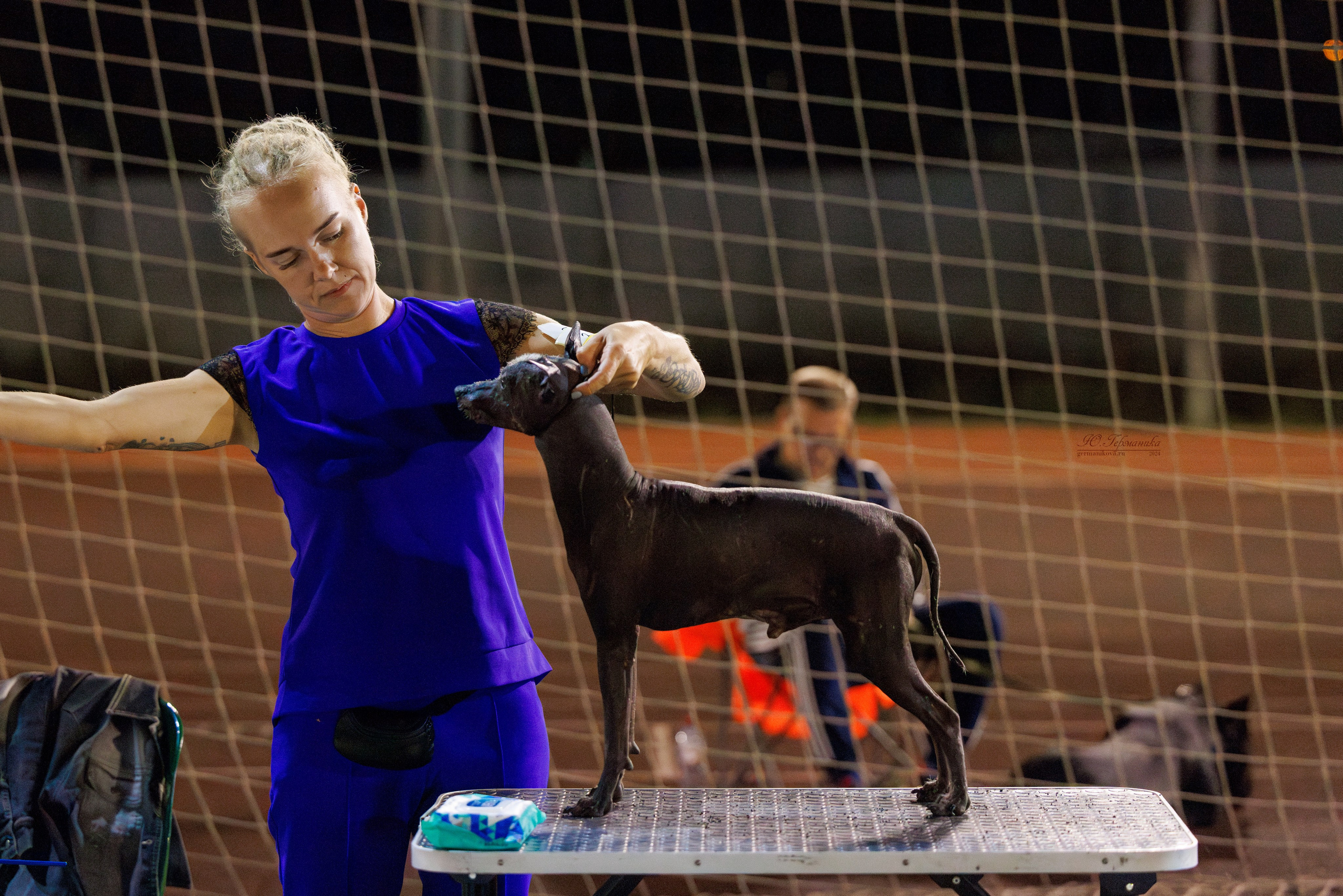 Волгоград 2-4.08.2024. Фотограф-анималист Юлия Германика