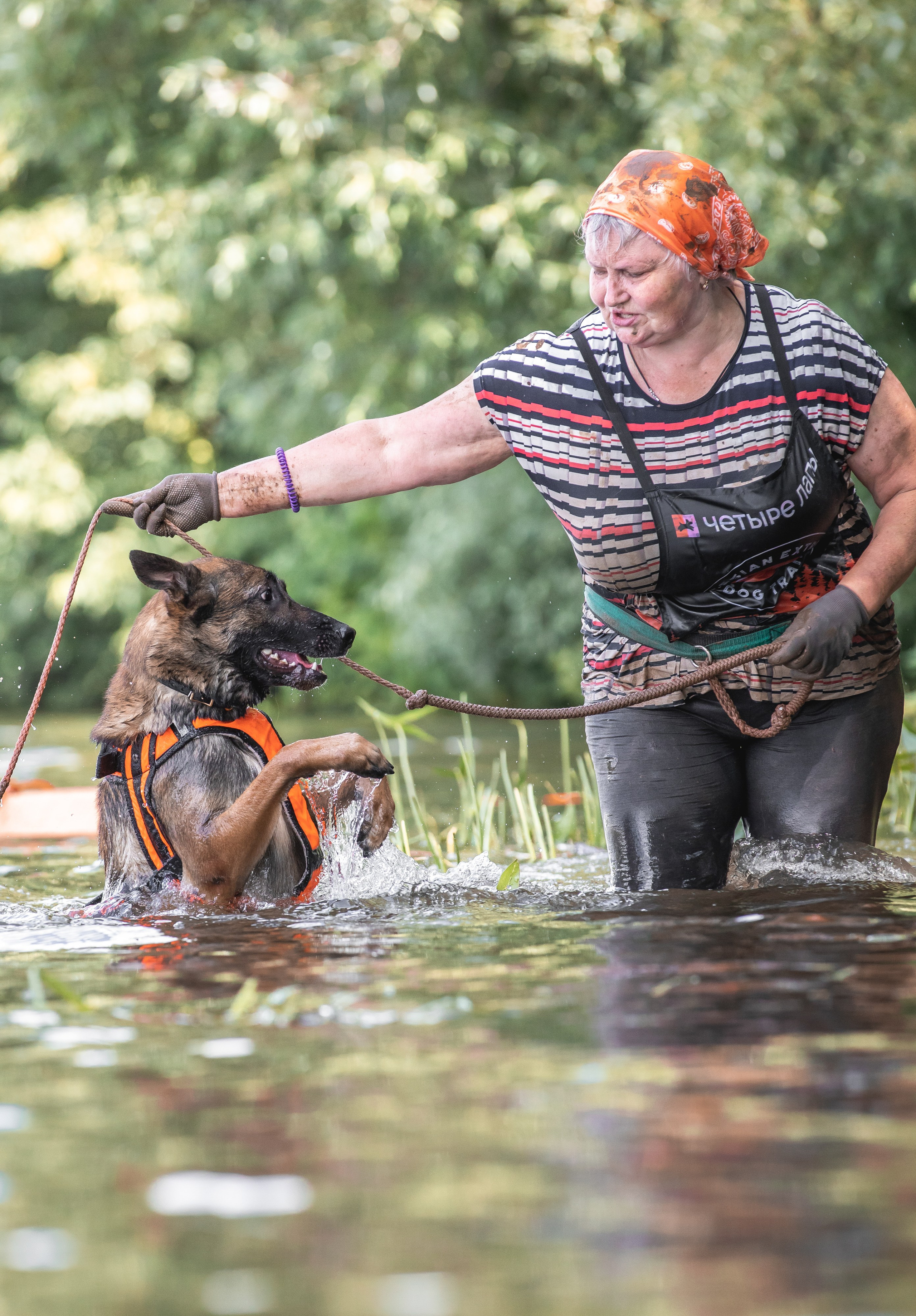 Репортажная съёмка спортивных мероприятий. ESHE_PHOTO Фотограф анималист в Москве и Московской области