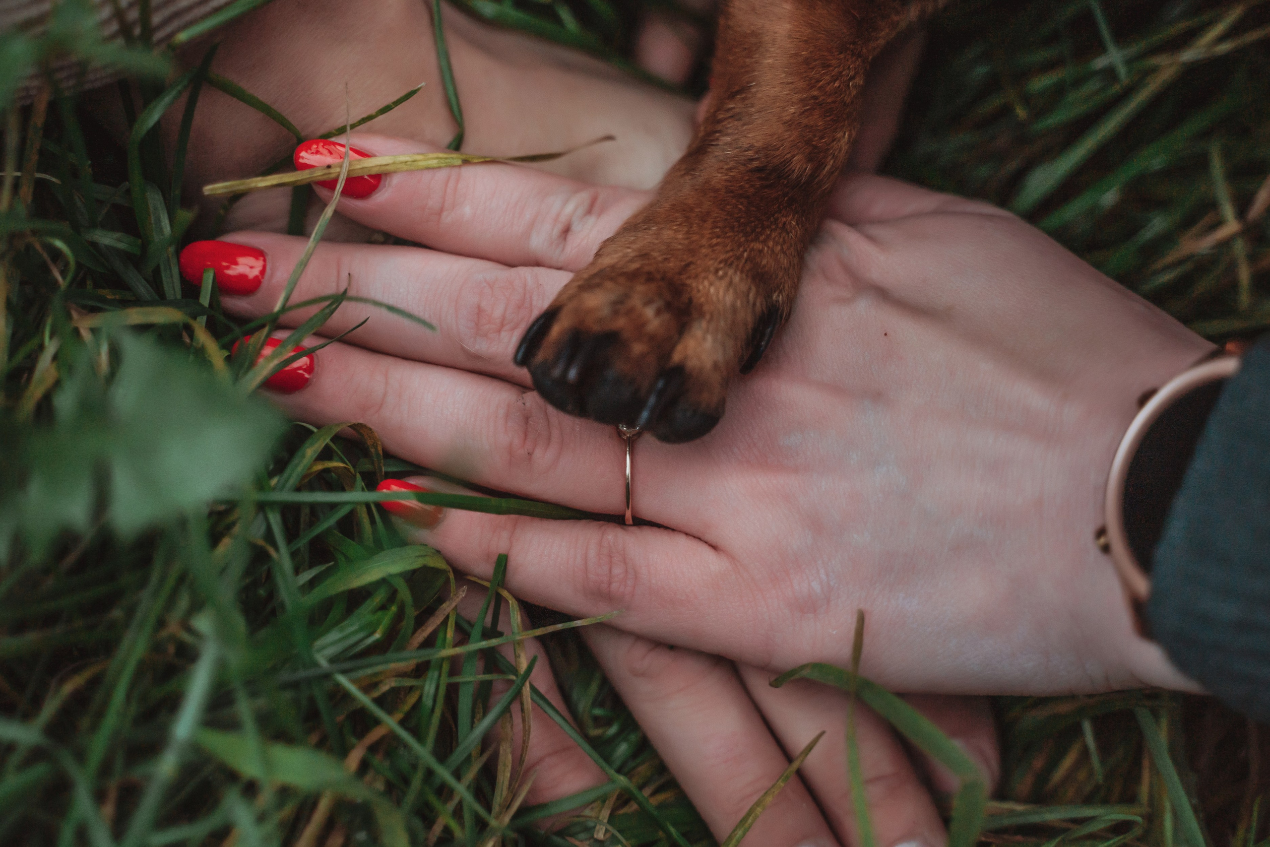 Лав стори фотограф Санкт-Петербург. Свадебный, семейный, портретный, репортажный фотограф в Санкт-Петербурге