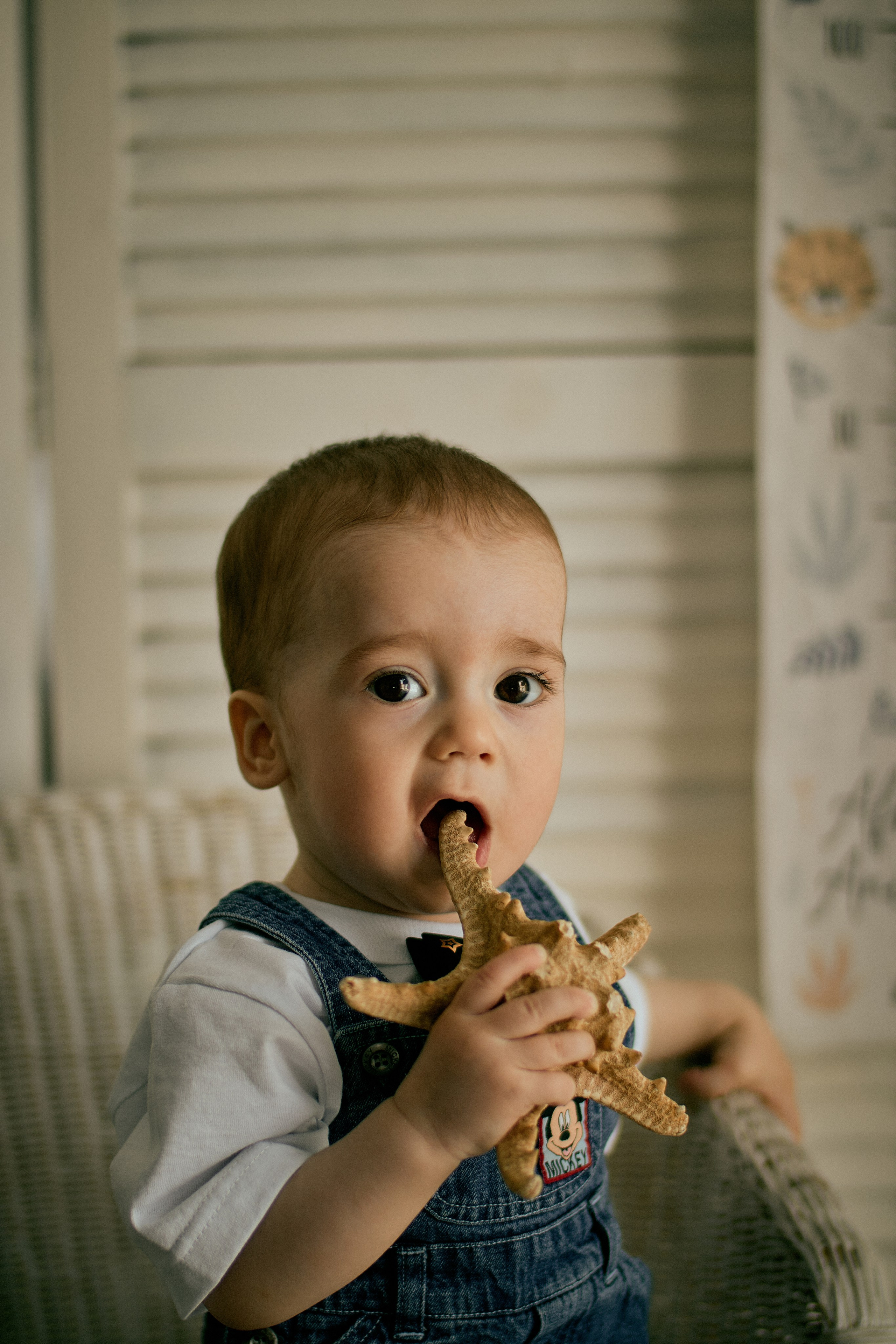 Денис и банда девочек. Свадебный фотограф Анастасия Лахтионова