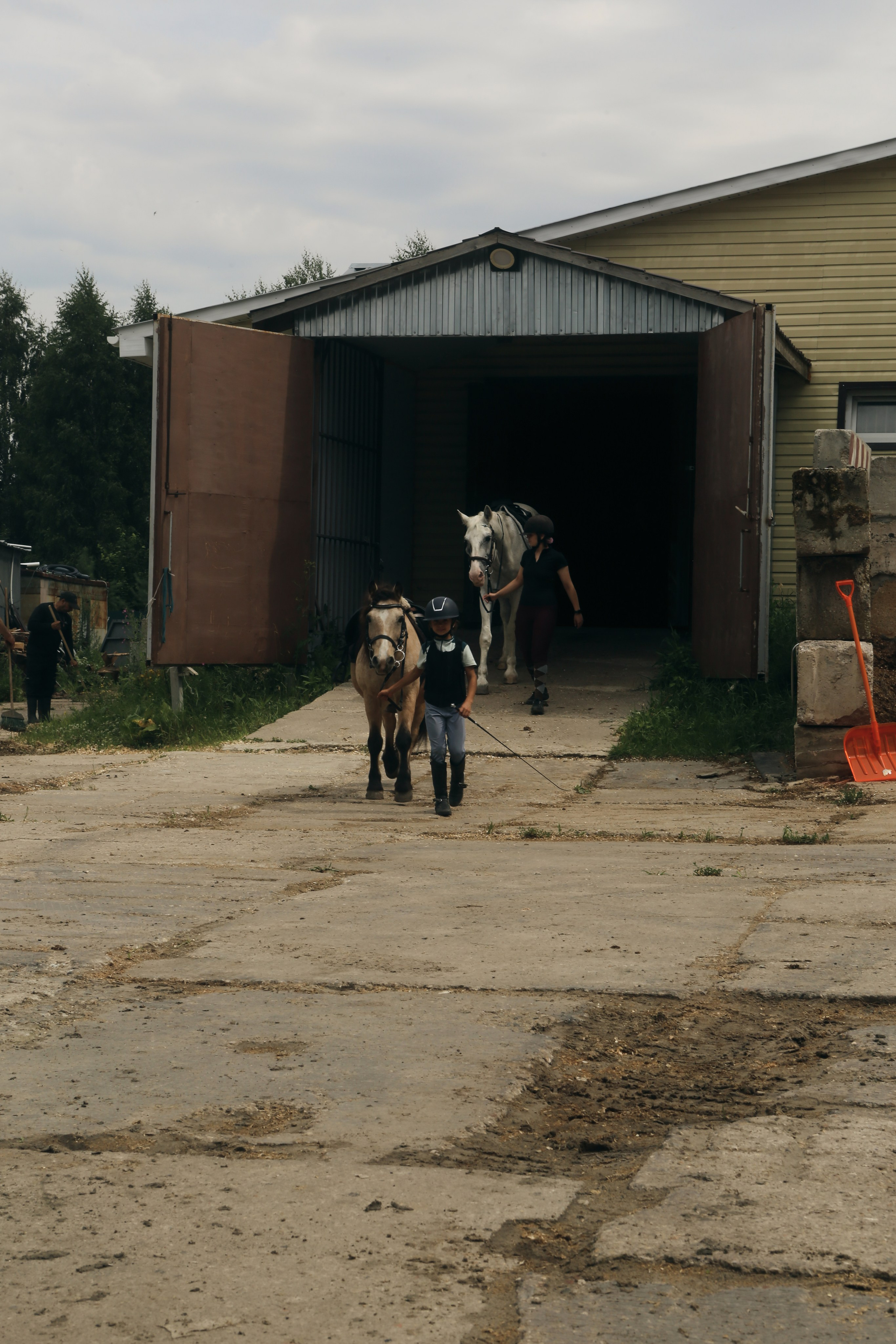 In a horse club NIMB. Фотограф Антонина Гудкова