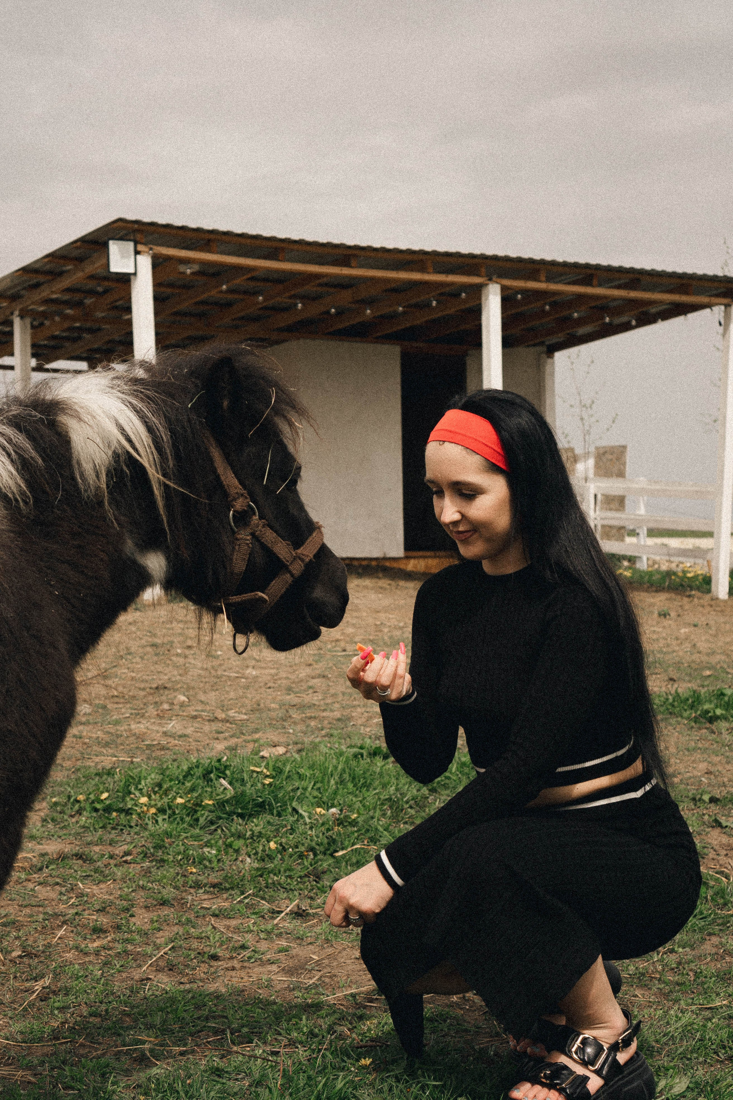 Ферма Альпак. Профессиональный фотограф, Санкт-Петербург — Виктория Богомолова