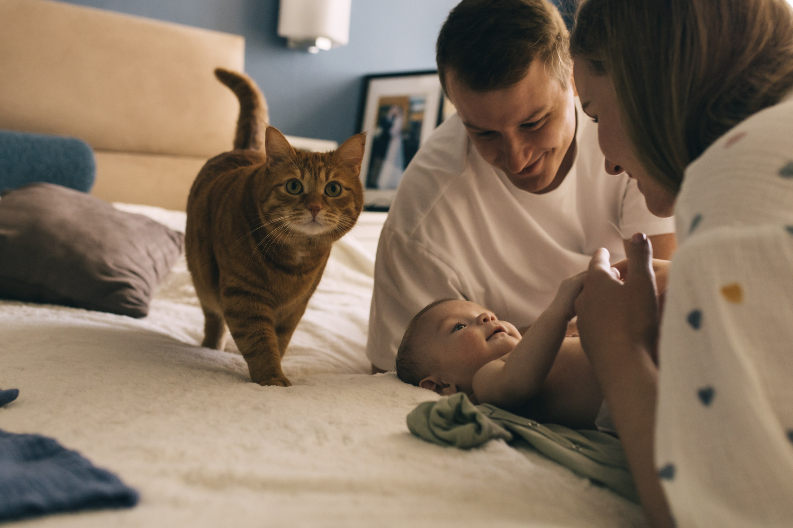Новая жизнь. Ваш семейный фотограф в Москве и Московской области